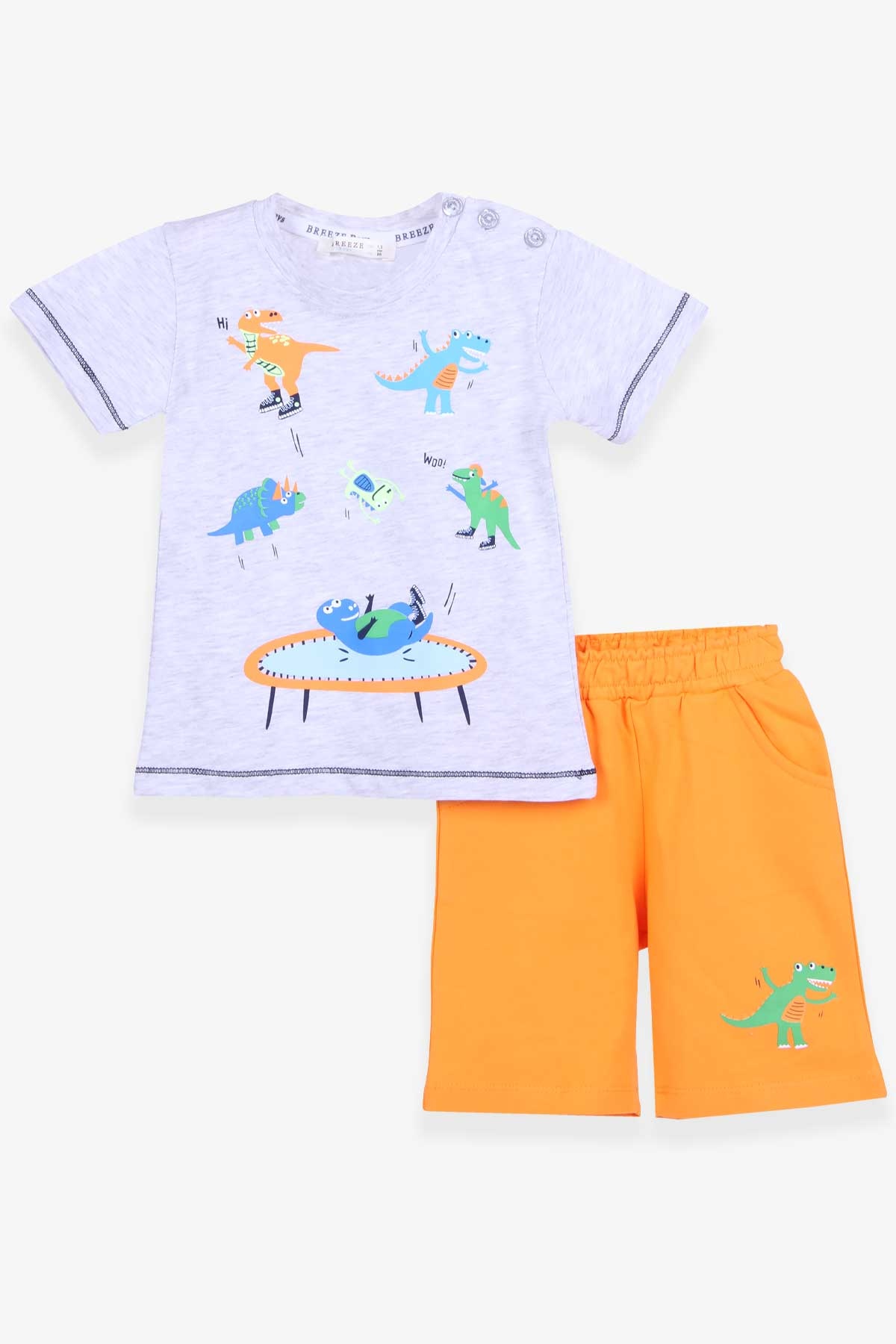 Breeze Erkek Çocuk Şortlu Takım Dinozor Baskılı Açık Gri Melanj (1.5-5 Yaş)