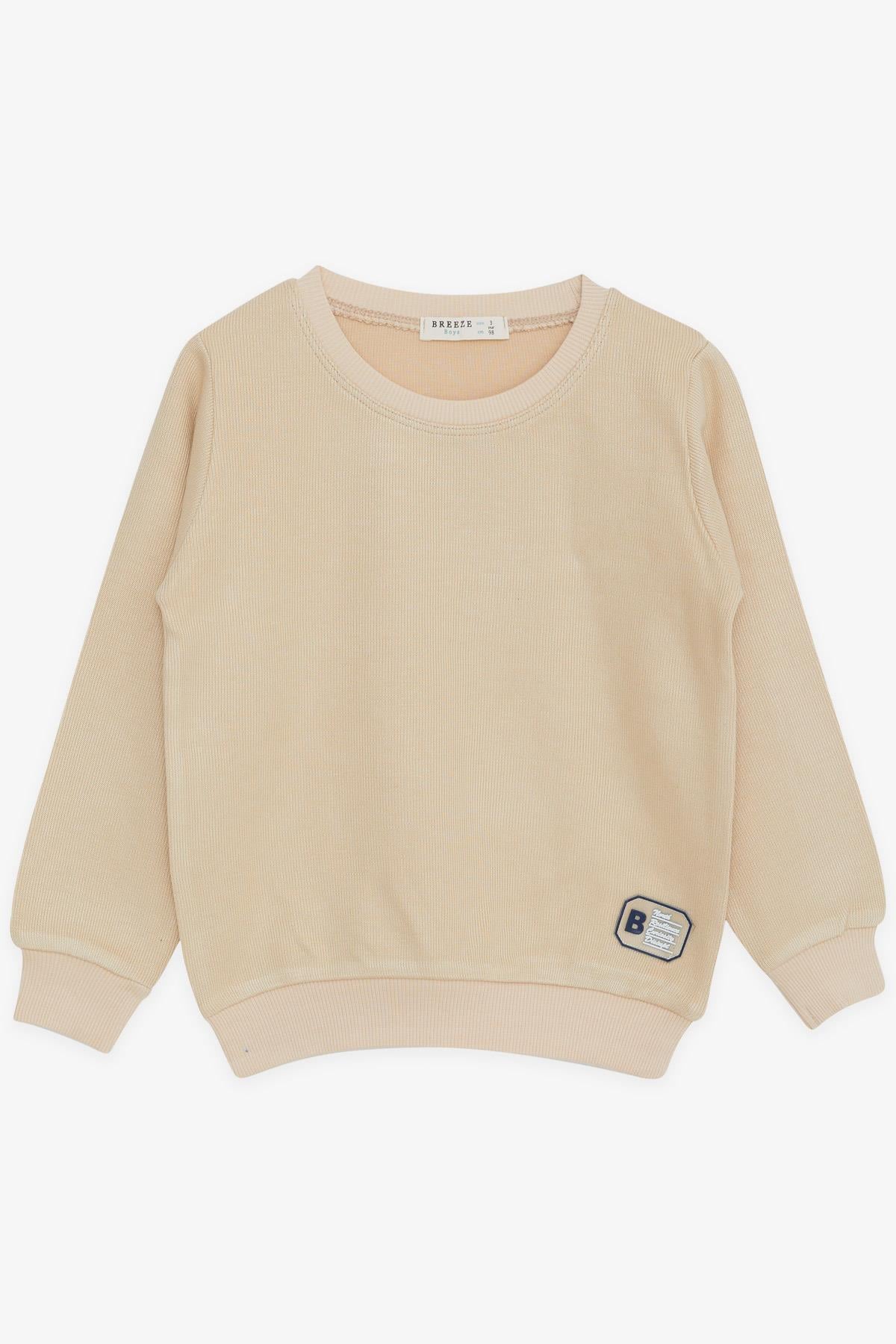 Breeze Erkek Çocuk Sweatshirt Armalı Bej (2-6 Yaş)