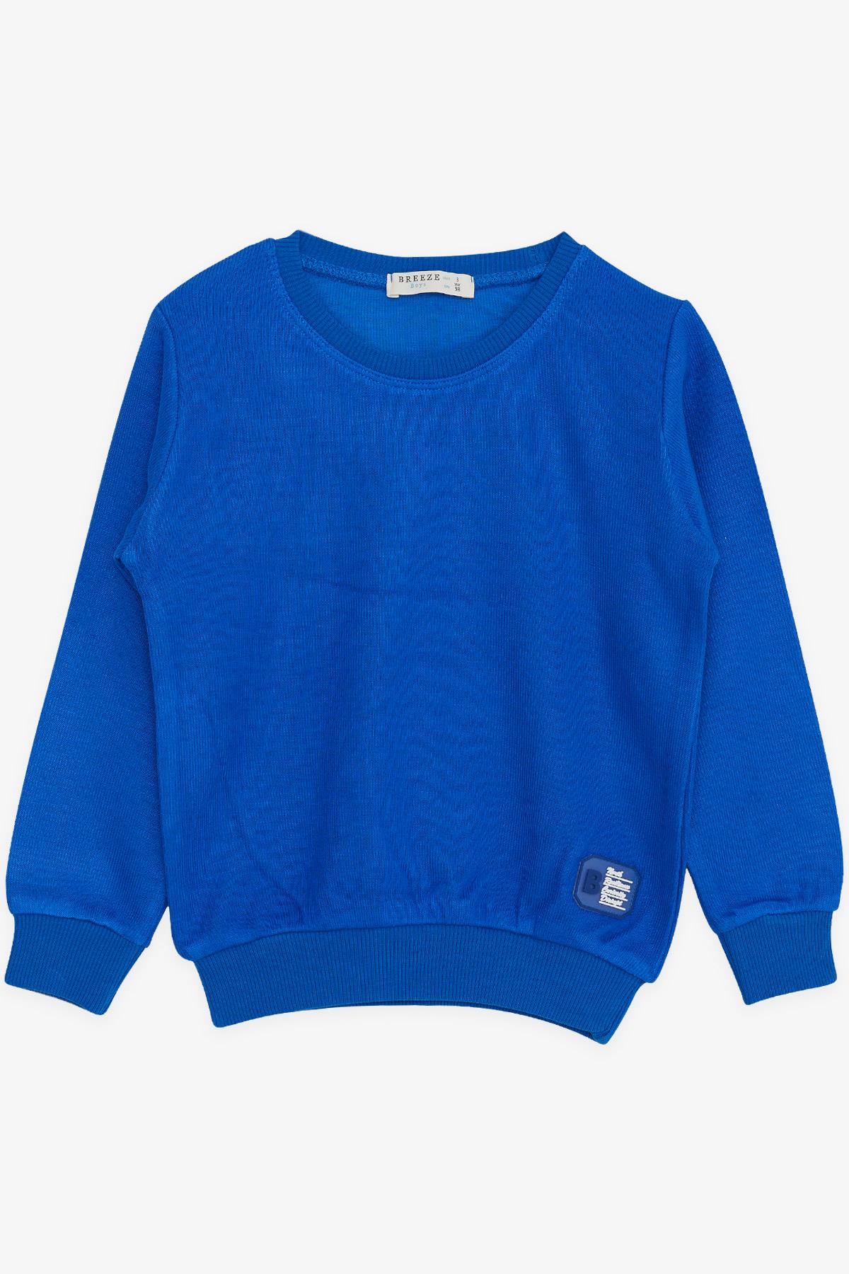 Breeze Erkek Çocuk Sweatshirt Armalı Saks Mavisi (2-6 Yaş)