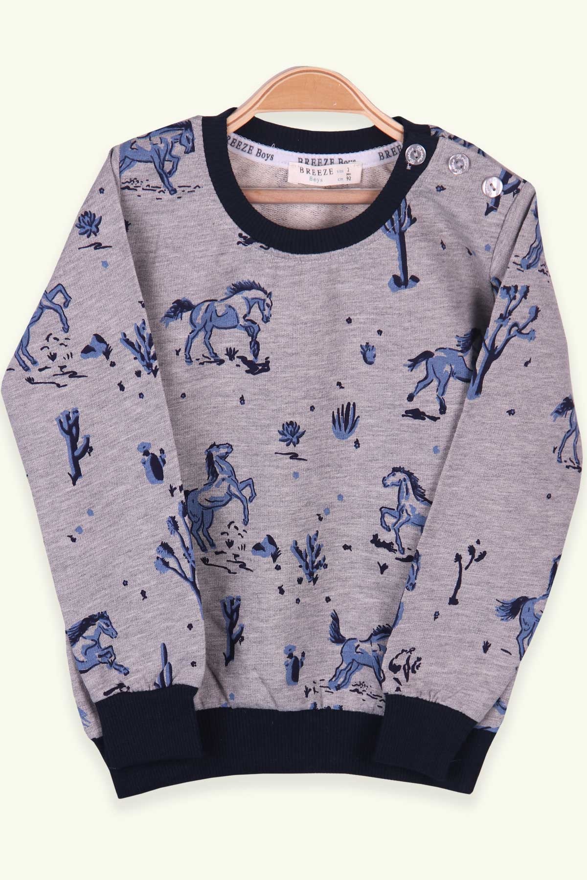 Breeze Erkek Çocuk Sweatshirt At Desenli Gri Melanj (2-6 Yaş)