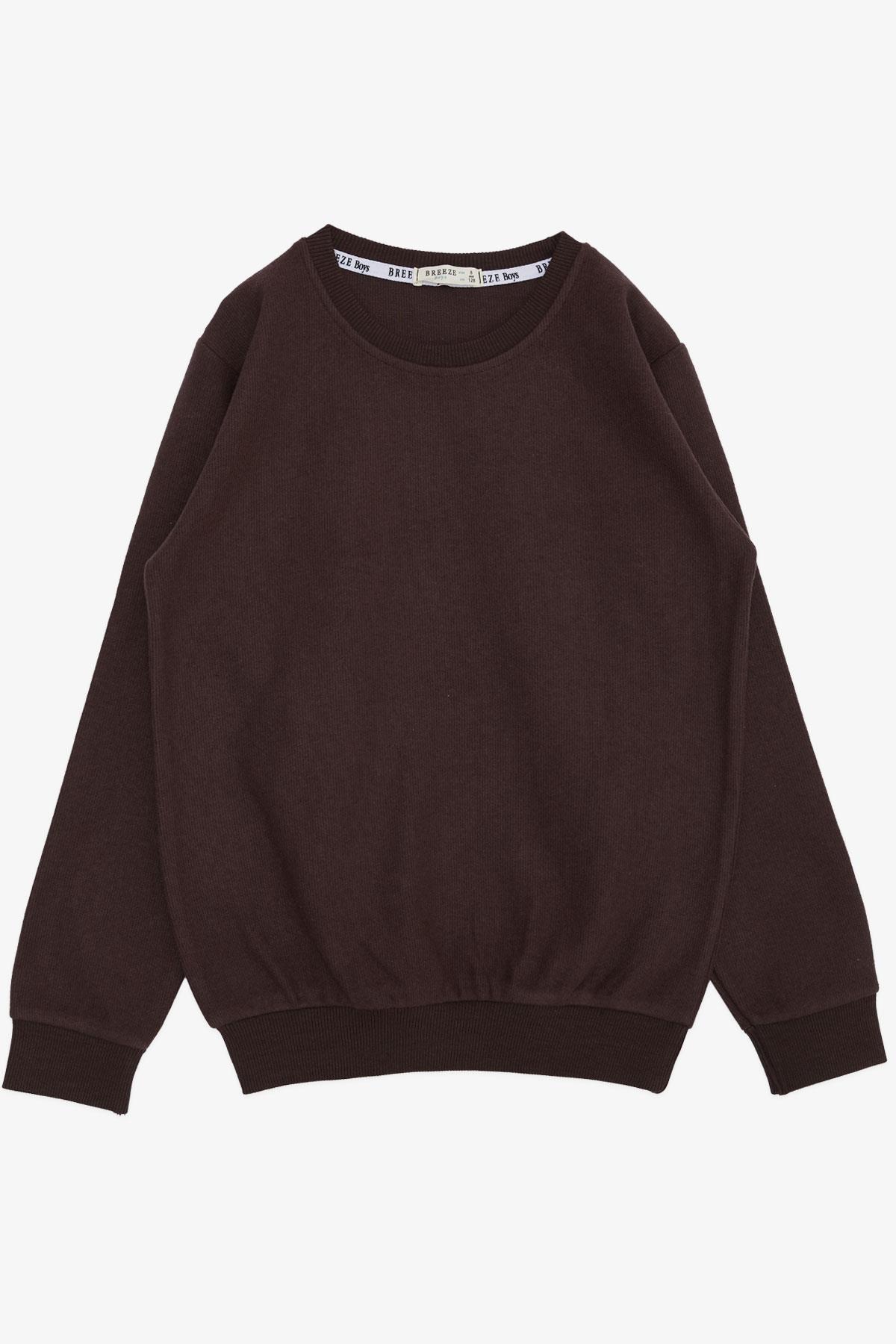Breeze Erkek Çocuk Sweatshirt Basic Koyu Kahve (4-8 Yaş)