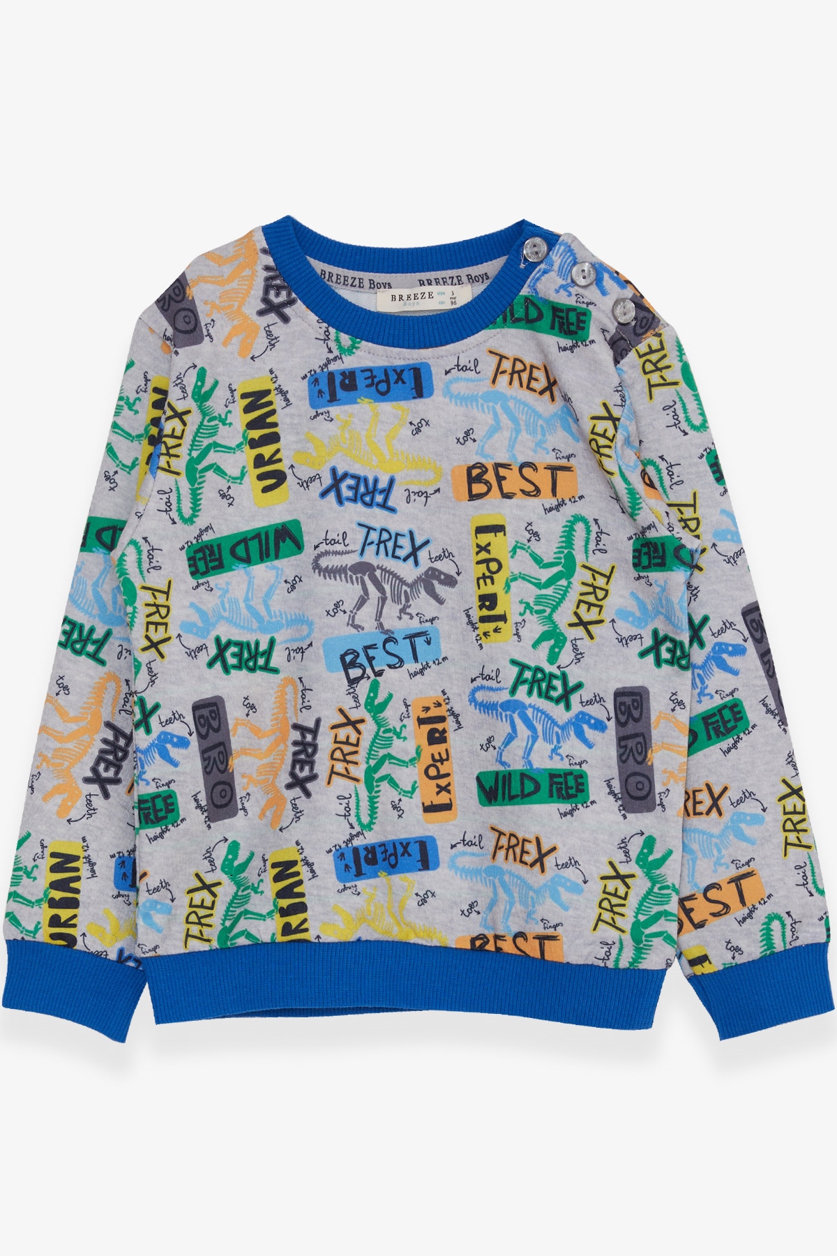 Breeze Erkek Çocuk Sweatshirt Dinozor Desenli Açık Gri Melanj (1.5-5 Yaş)