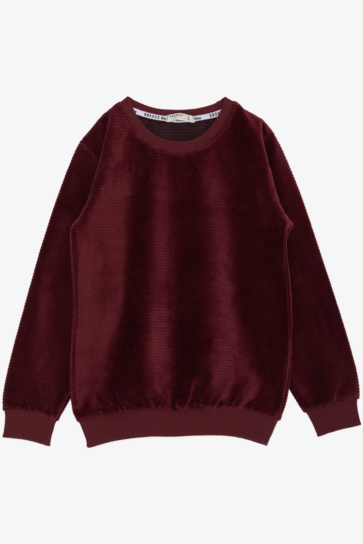 Breeze Erkek Çocuk Sweatshirt Kadife Basic Vişne Çürüğü (4-8 Yaş)