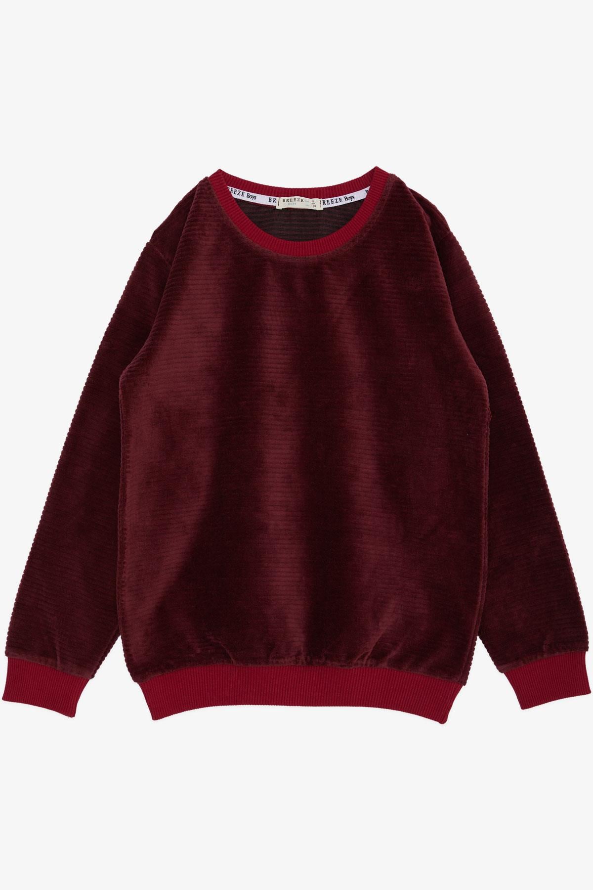 Breeze Erkek Çocuk Sweatshirt Kadife Basic Vişne Çürüğü (4-8 Yaş)