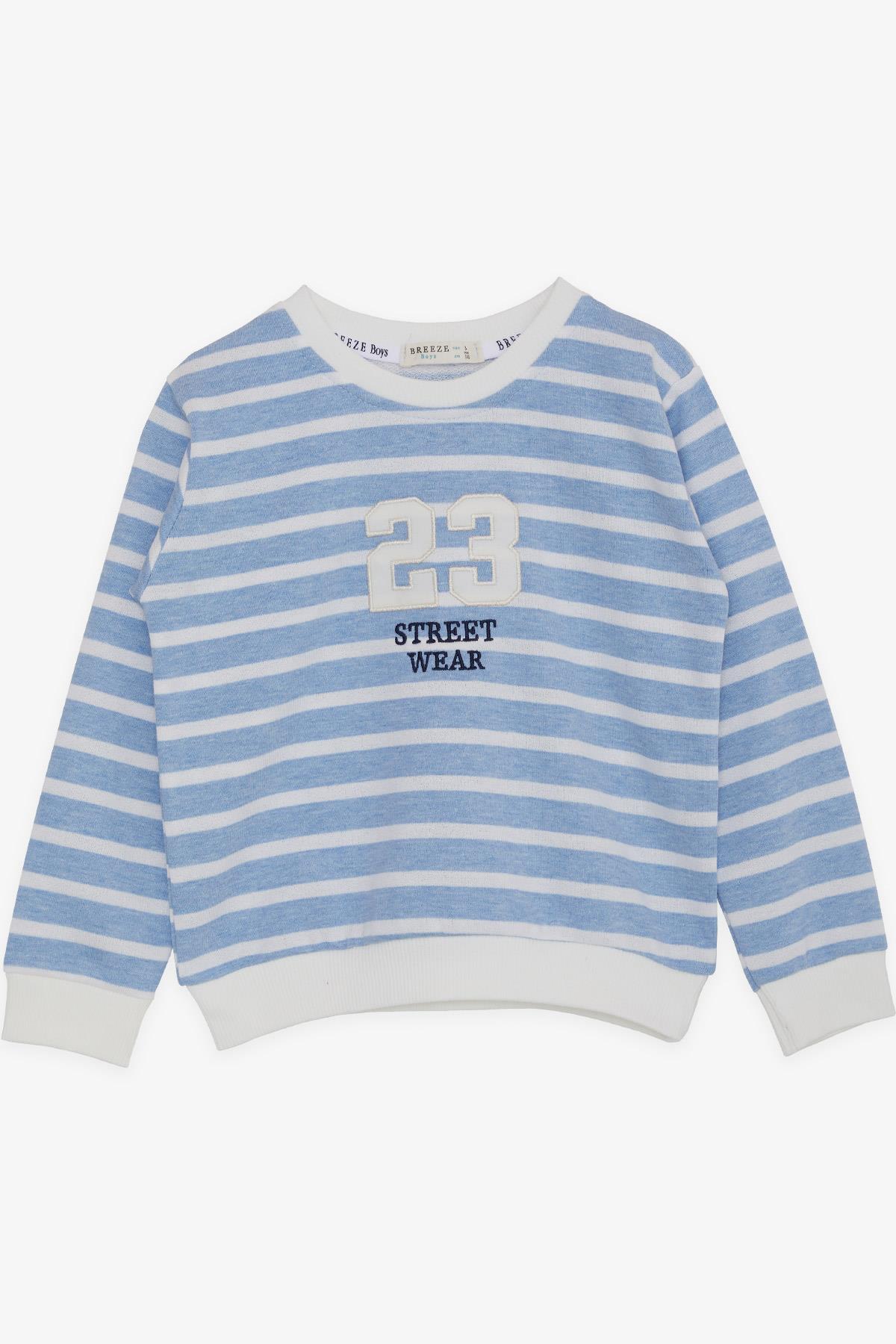 Breeze Erkek Çocuk Sweatshirt Rakam Yazı Nakışlı Açık Mavi (3-7 Yaş)