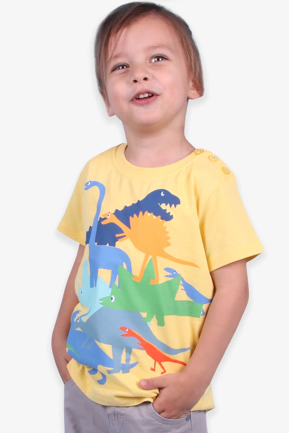 Breeze Erkek Çocuk Tişört Dinozor Baskılı Sarı (1.5-5 Yaş)