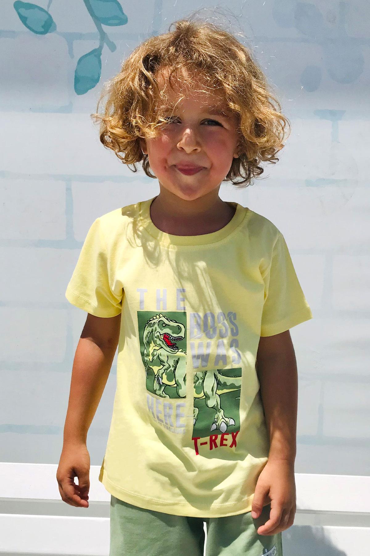 Breeze Erkek Çocuk Tişört Güçlü Dinozor Baskılı Sarı (1.5-5 Yaş)