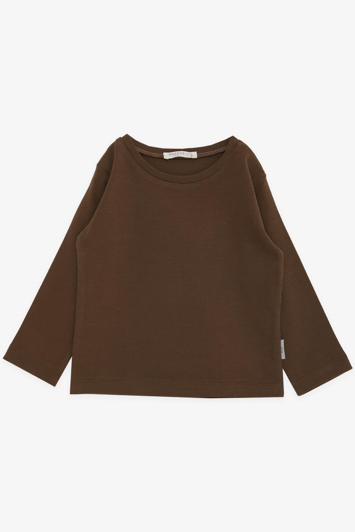 Breeze Erkek Çocuk Uzun Kollu Tişört Basic Kahverengi (1-4 Yaş)