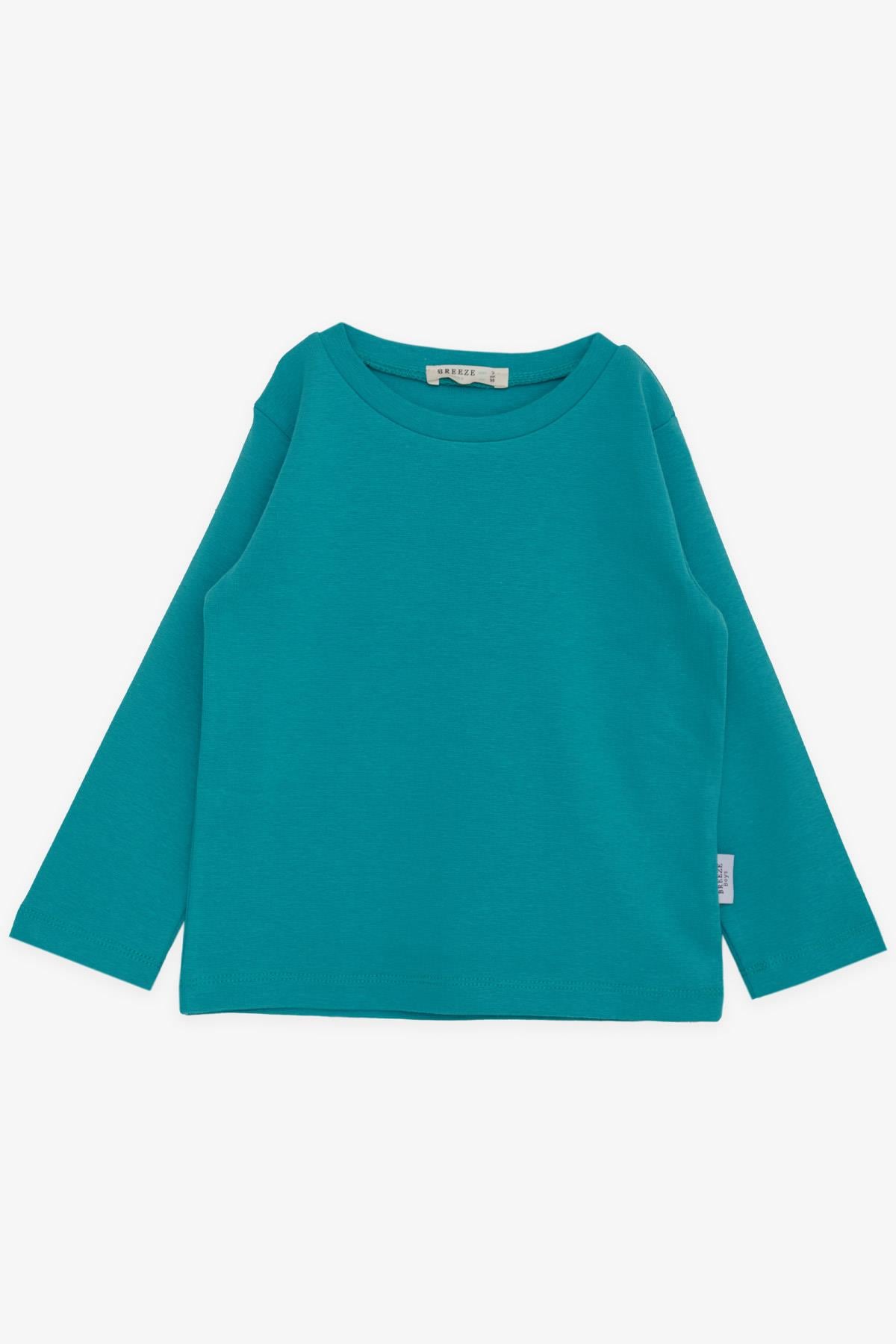 Breeze Erkek Çocuk Uzun Kollu Tişört Basic Mint Yeşili (1-4 Yaş)