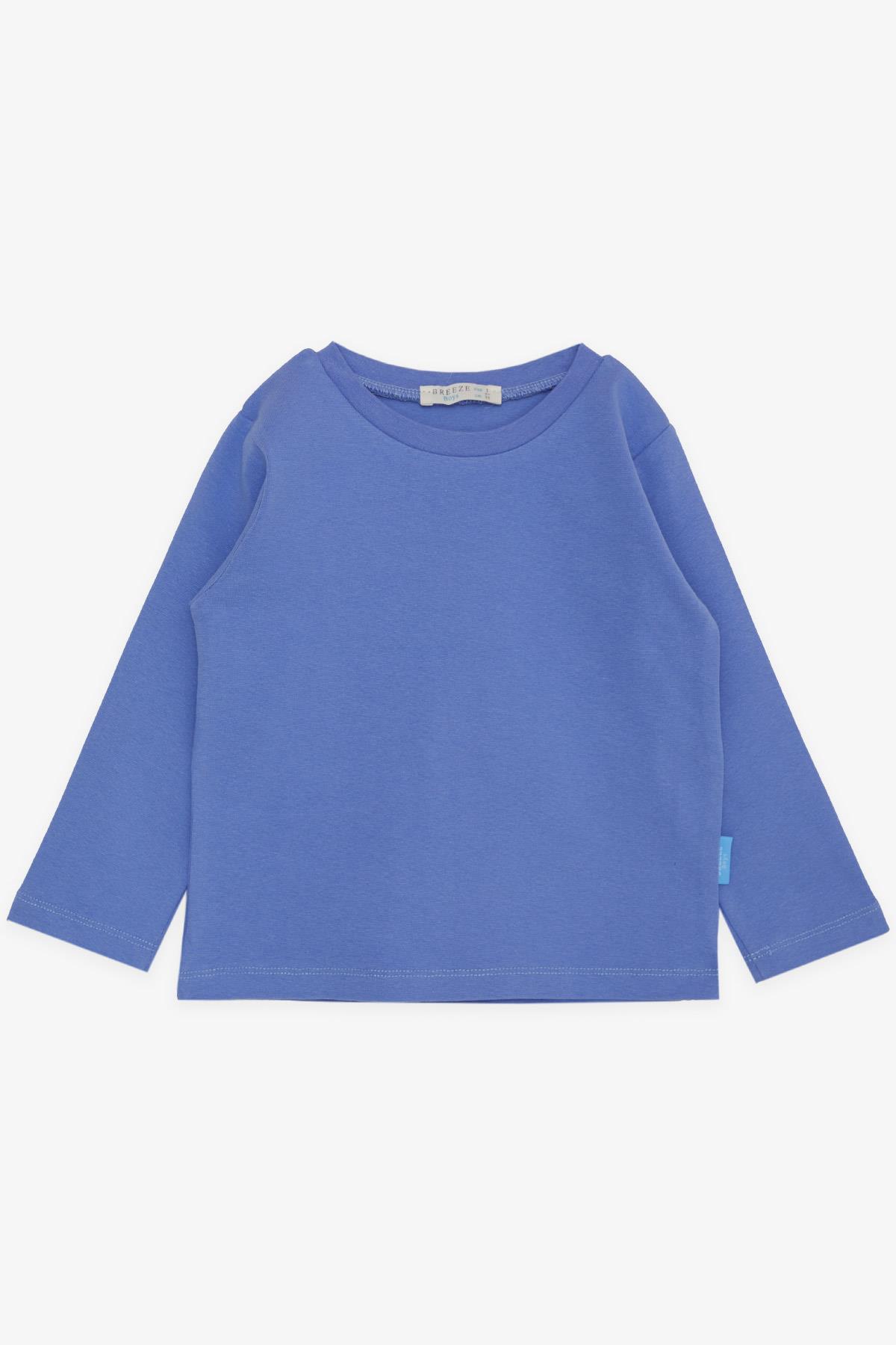 Breeze Erkek Çocuk Uzun Kollu Tişört Basic Lila (1-4 Yaş)