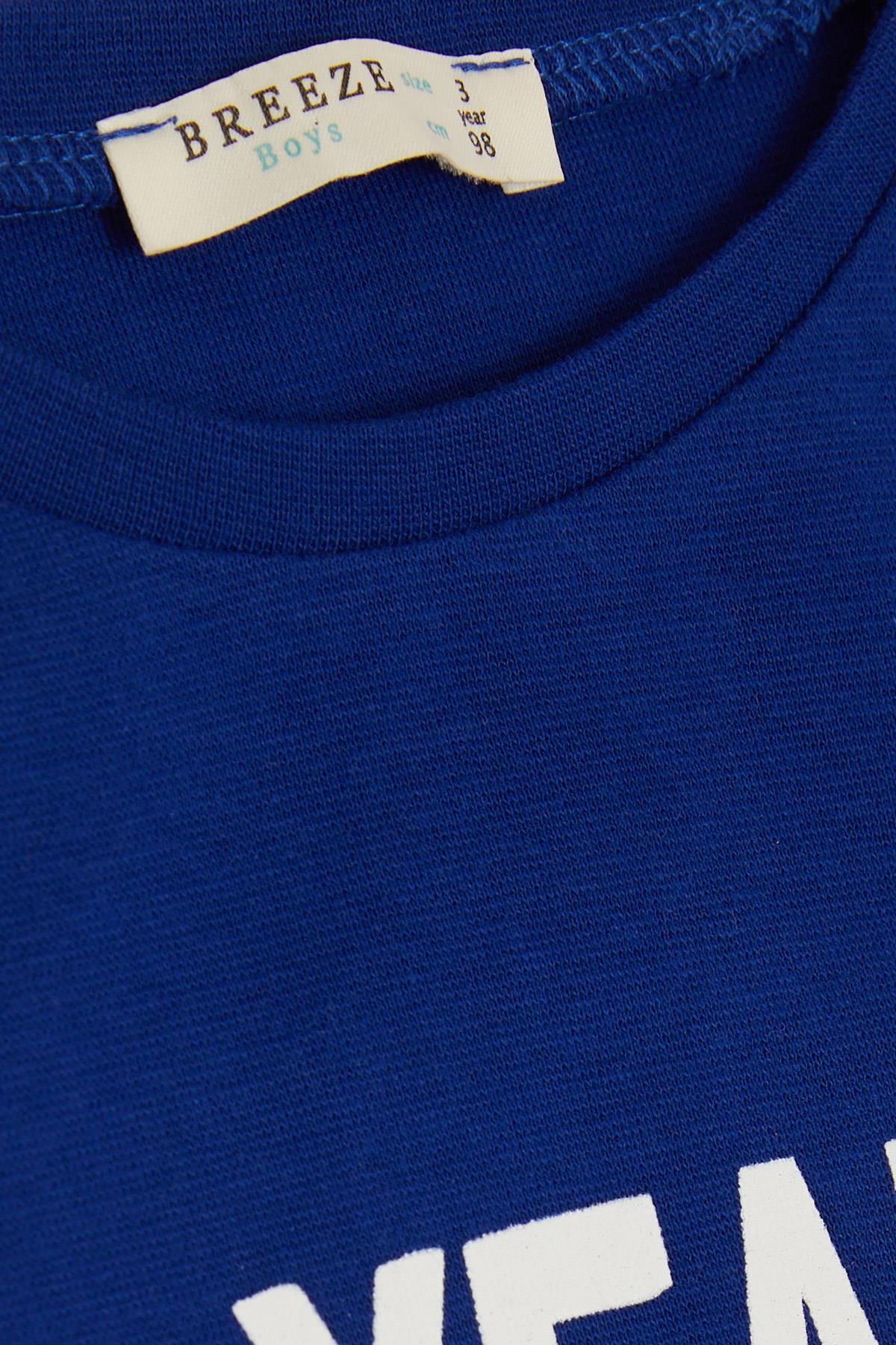 Erkek Çocuk Uzun Kollu Tişört Şapkalı Havalı Aslancık Baskılı Saks Mavisi  1-3 Yaş - Penye Kumaş | Breeze