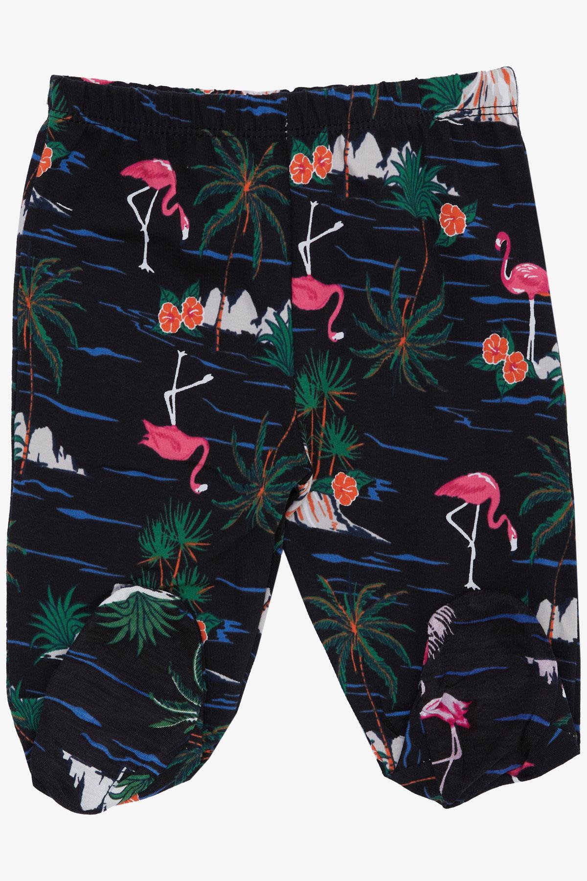 Breeze Kız Bebek Patikli Alt Flamingo Desenli Siyah (6 Ay)