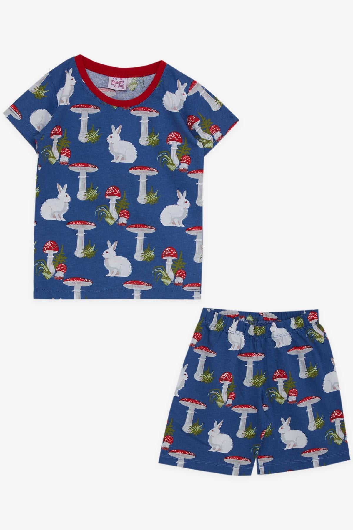 Breeze Kız Bebek Pijama Takımı Doğa Temalı Tavşancık Desenli Mavi (9 Ay-3 Yaş)