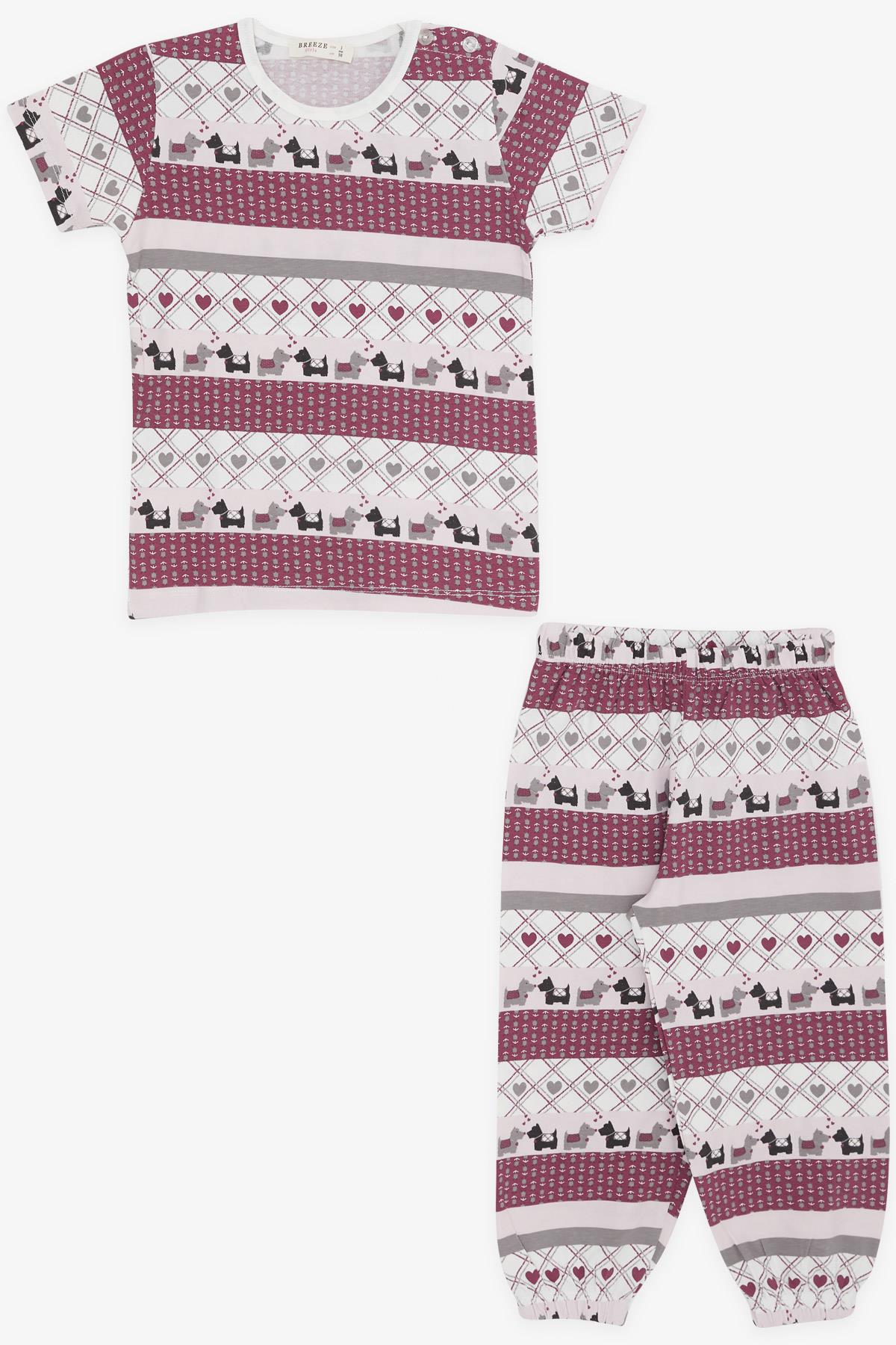 Breeze Kız Bebek Pijama Takımı Köpekçik Desenli Karışık Renk (9 Ay-3 Yaş)