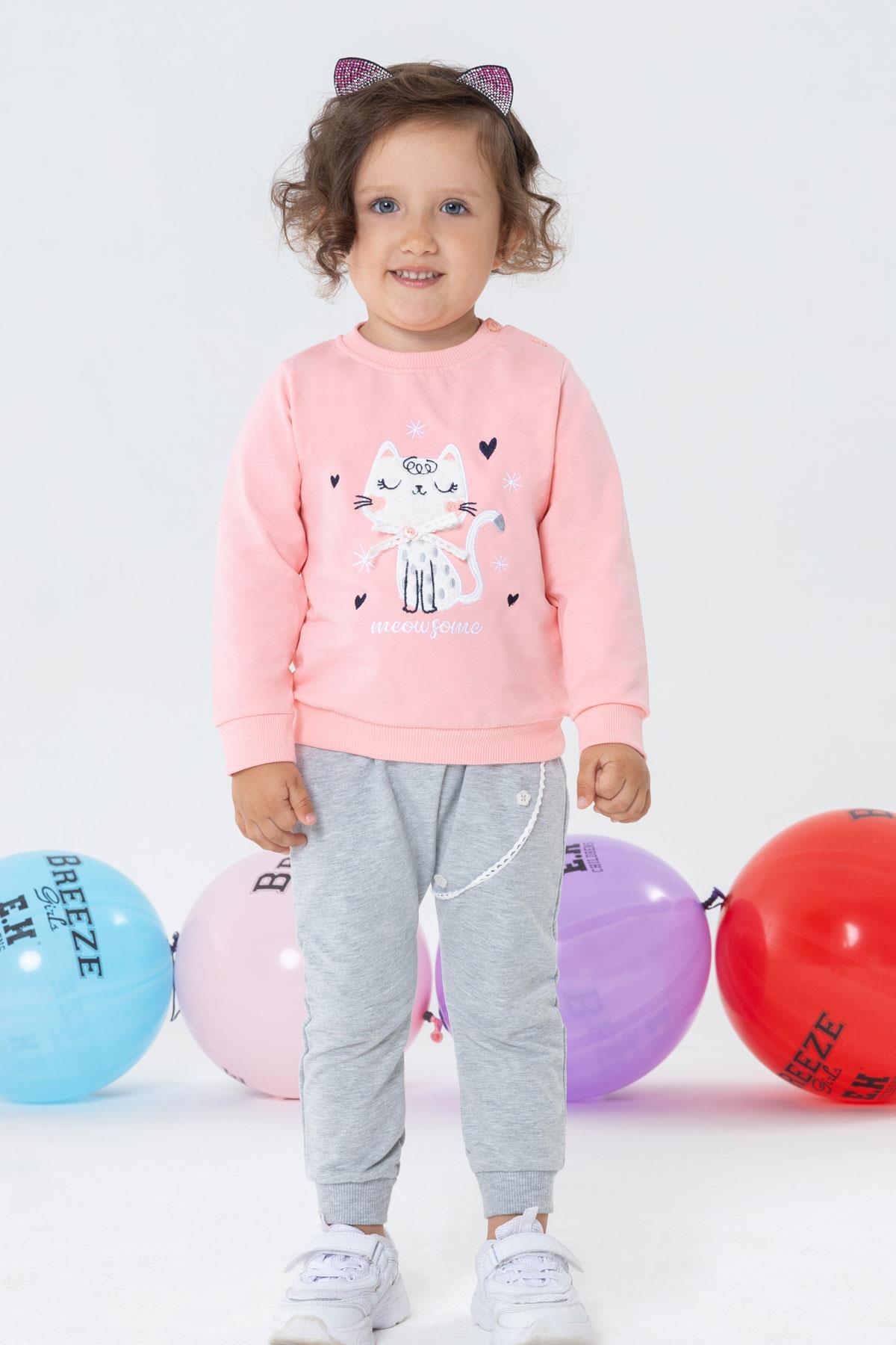 Breeze Kız Bebek Şalvar Tipi Eşofman Takım Kedicik Nakışlı Pembe (6 Ay-2 Yaş)
