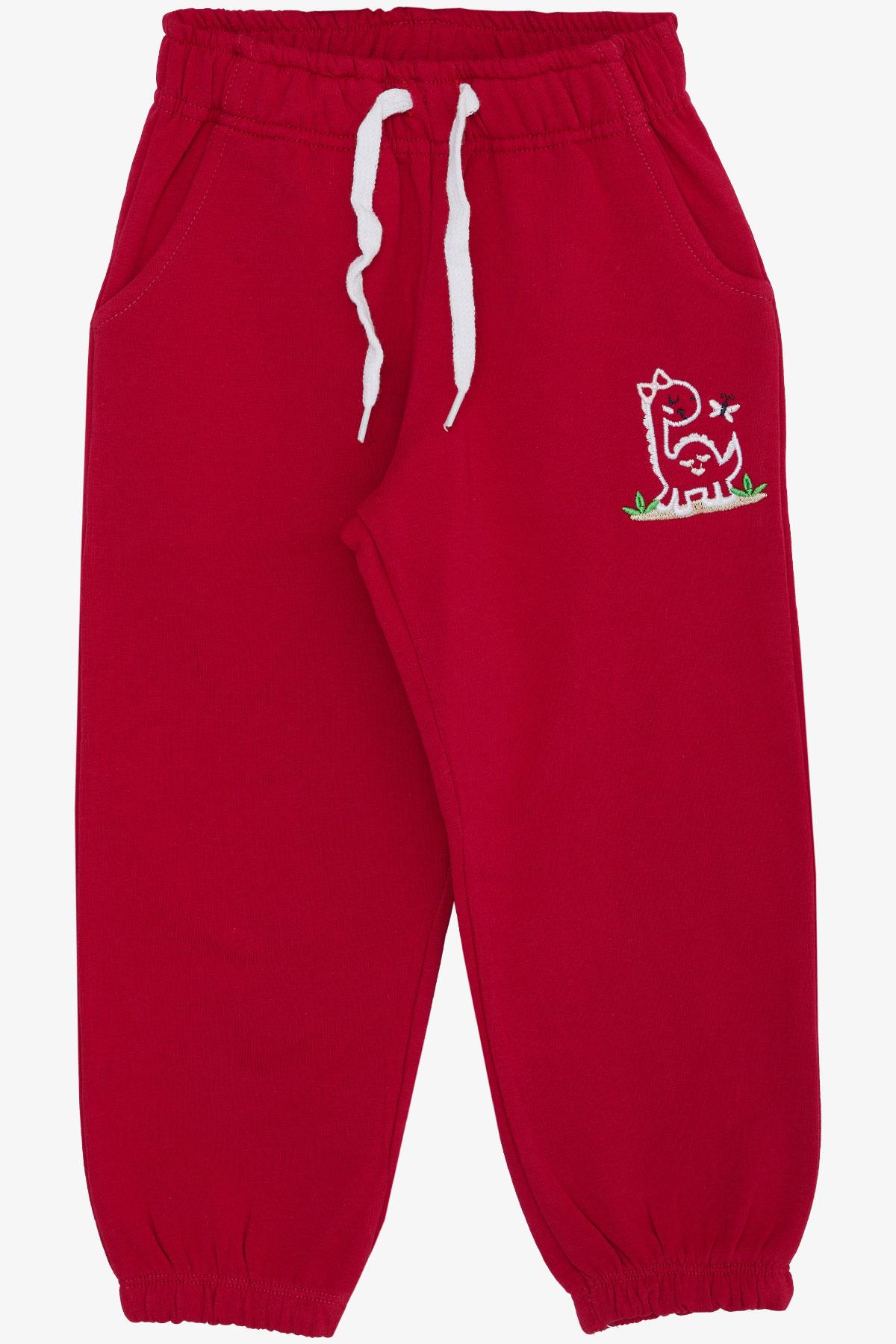 Breeze Kız Çocuk Alt Sevimli Dinozor & Kelebek Nakış Baskılı Fuşya (1-4 Yaş)