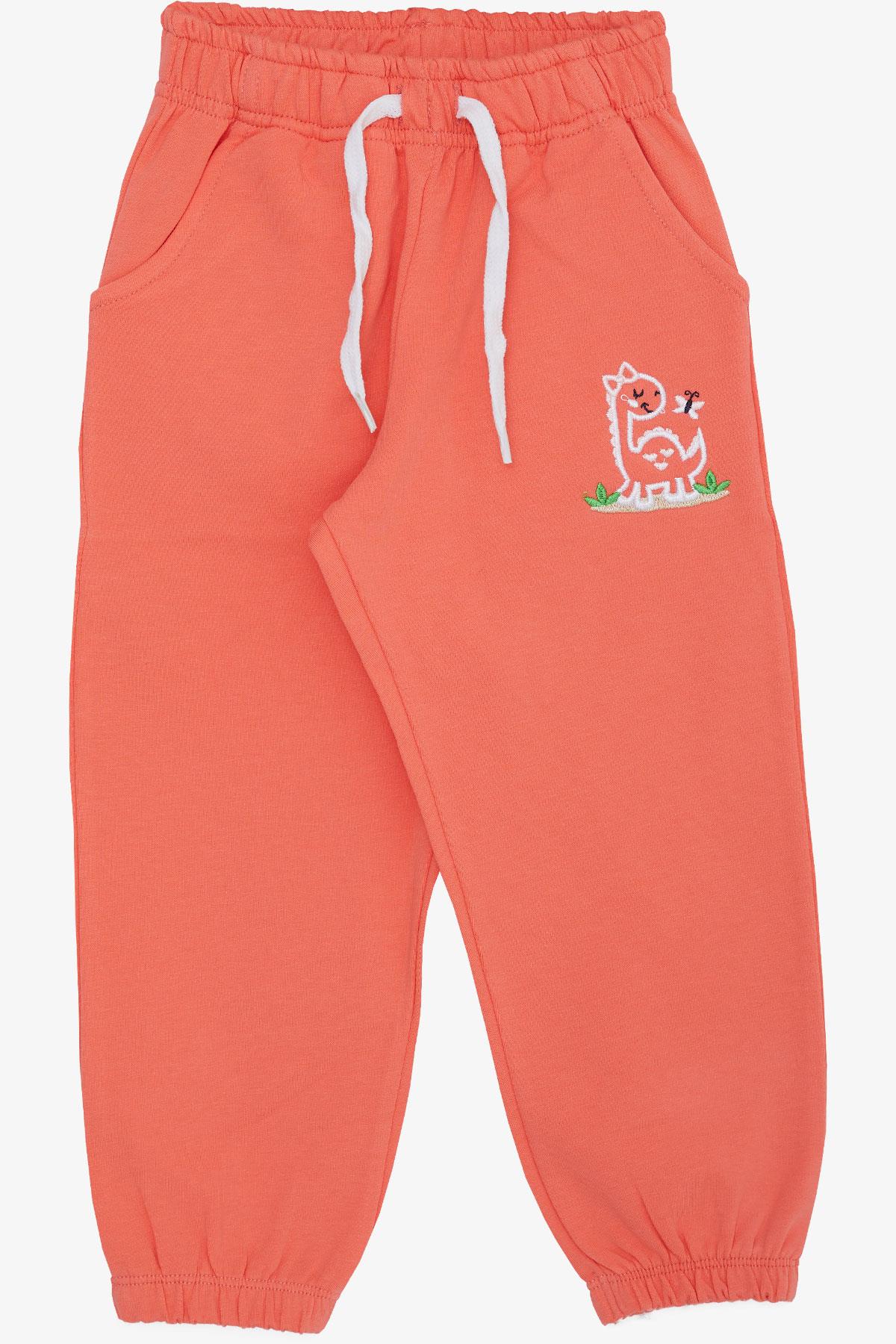 Breeze Kız Çocuk Alt Sevimli Dinozor & Kelebek Nakış Baskılı Somon (1-4 Yaş)