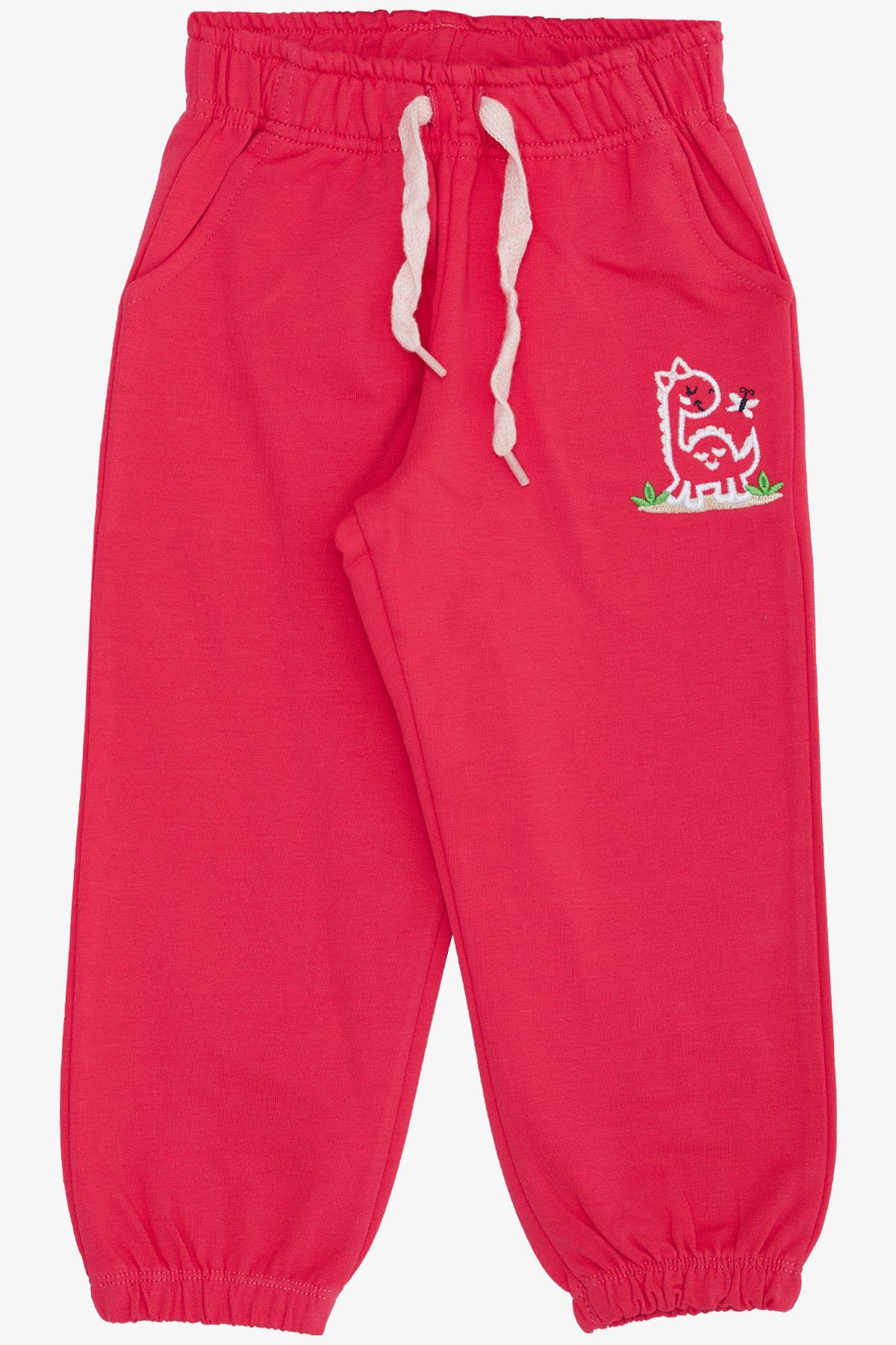 Breeze Kız Çocuk Alt Sevimli Dinozor & Kelebek Nakış Baskılı Pembe (1-4 Yaş)