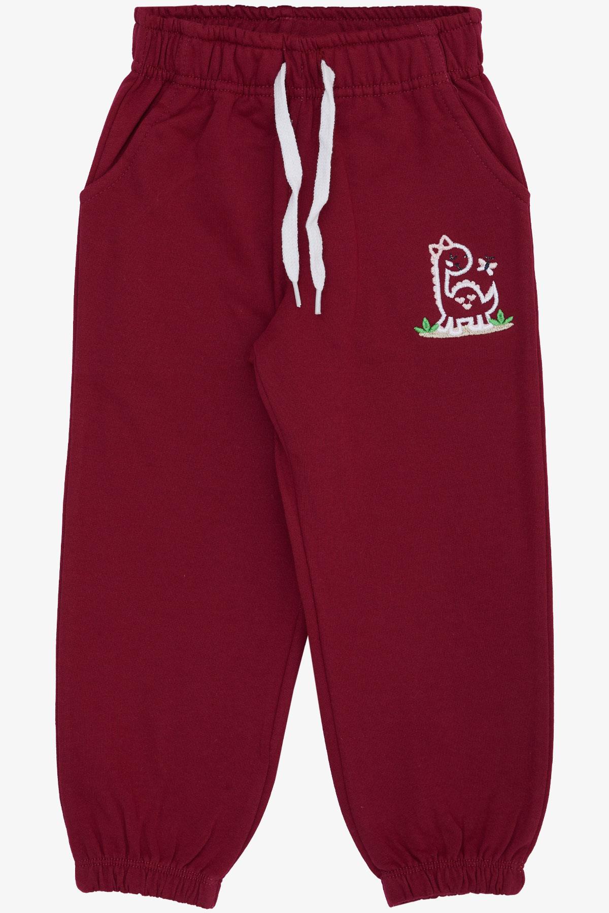 Breeze Kız Çocuk Alt Sevimli Dinozor & Kelebek Nakış Baskılı Vişne Çürüğü (1-4 Yaş)