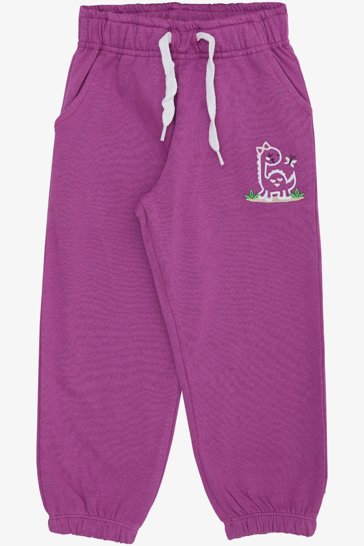 Breeze Kız Çocuk Alt Sevimli Dinozor & Kelebek Nakış Baskılı Eflatun (1-4 Yaş)