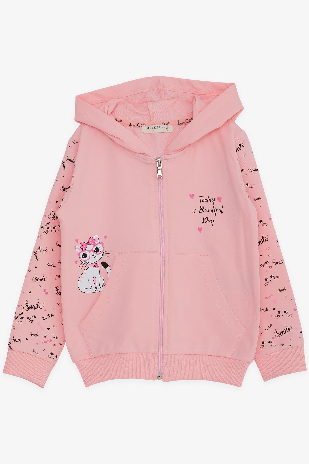 Breeze Kız Çocuk Kapüşonlu Hırka Kolları Desenli Kedicik Baskılı Pembe (1-4 Yaş)