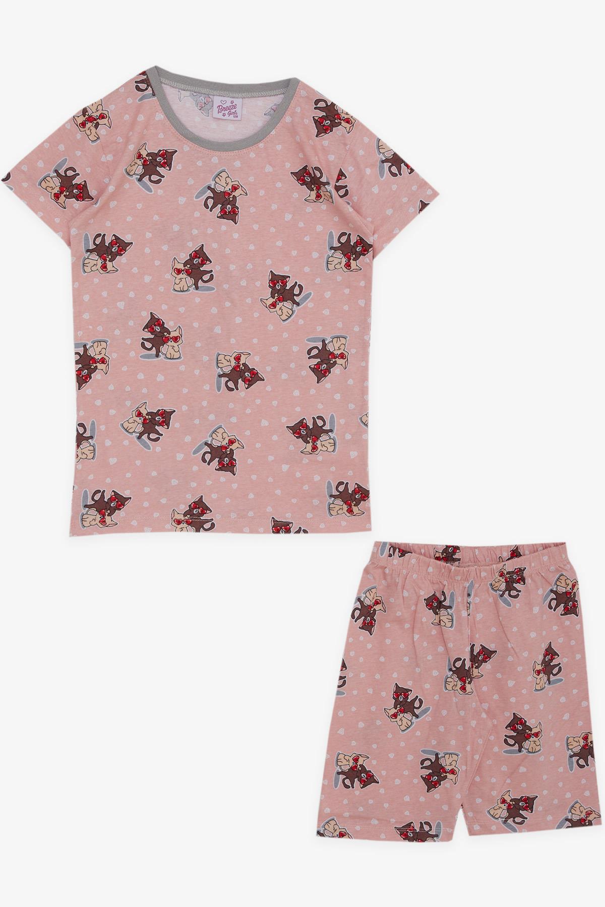 Breeze Kız Çocuk Şortlu Pijama Takımı Sevgi Temalı Sevimli Kedicikler Desenli Somon (4-8 Yaş)