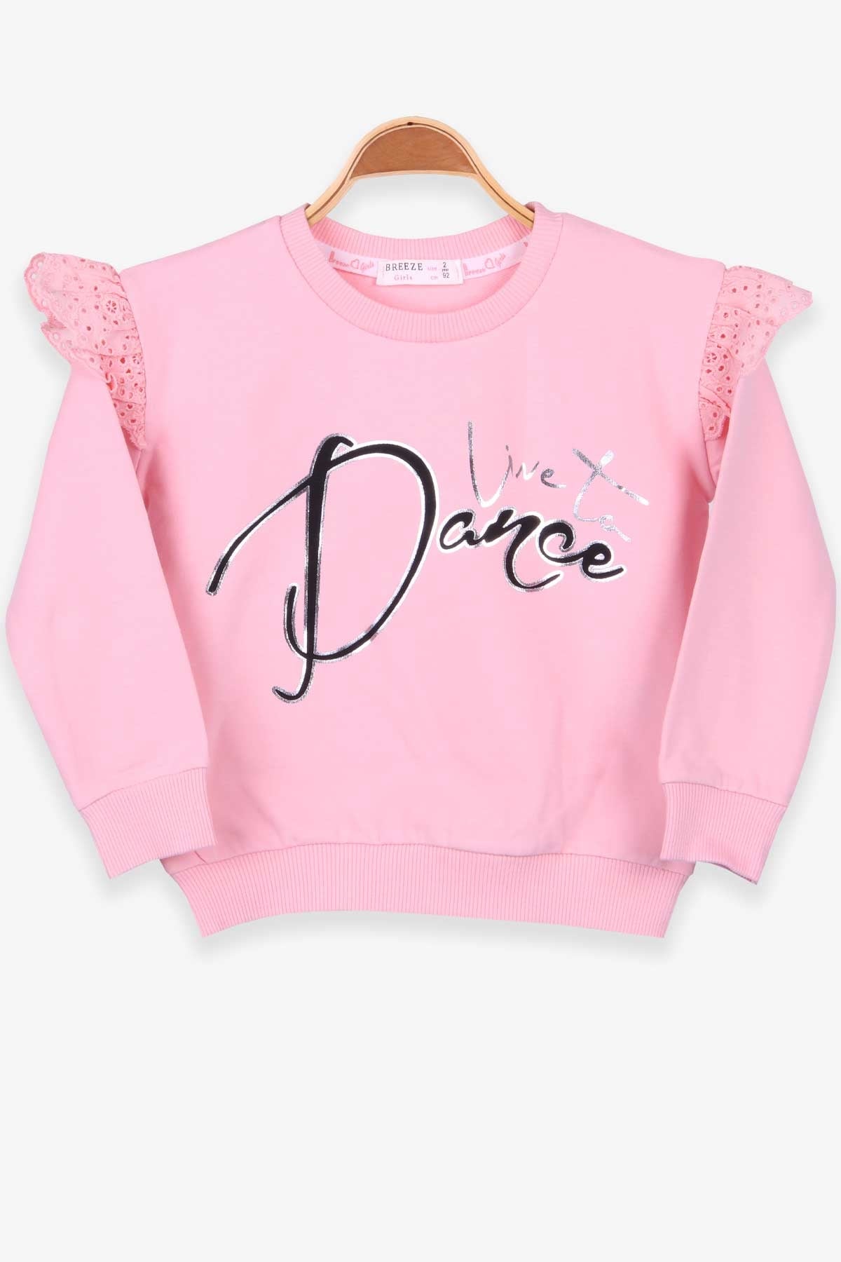 Breeze Kız Çocuk Sweatshirt Baskılı Pudra (2-6 Yaş)