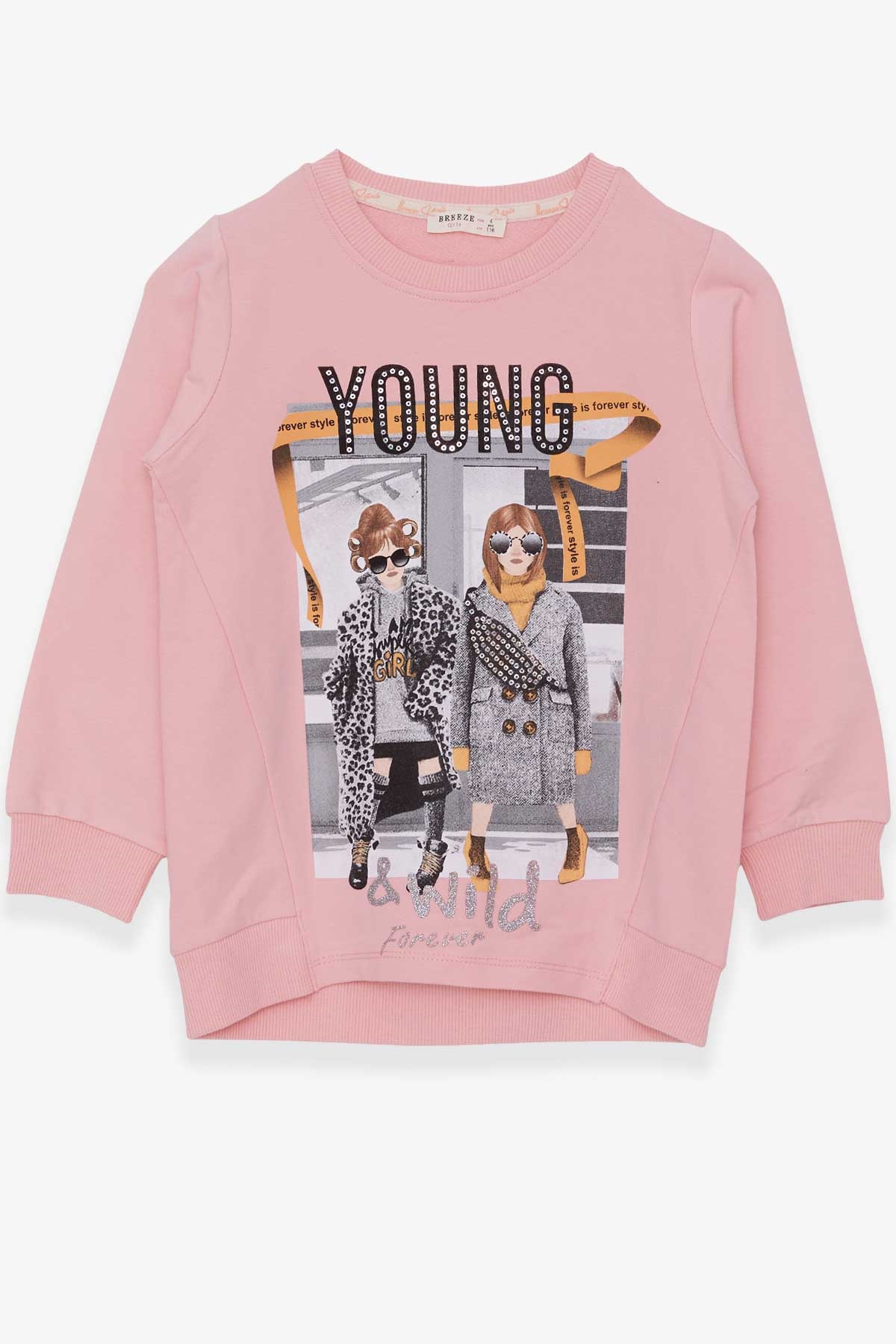 Breeze Kız Çocuk Sweatshirt Dostluk Temalı Pudra (6-12 Yaş)