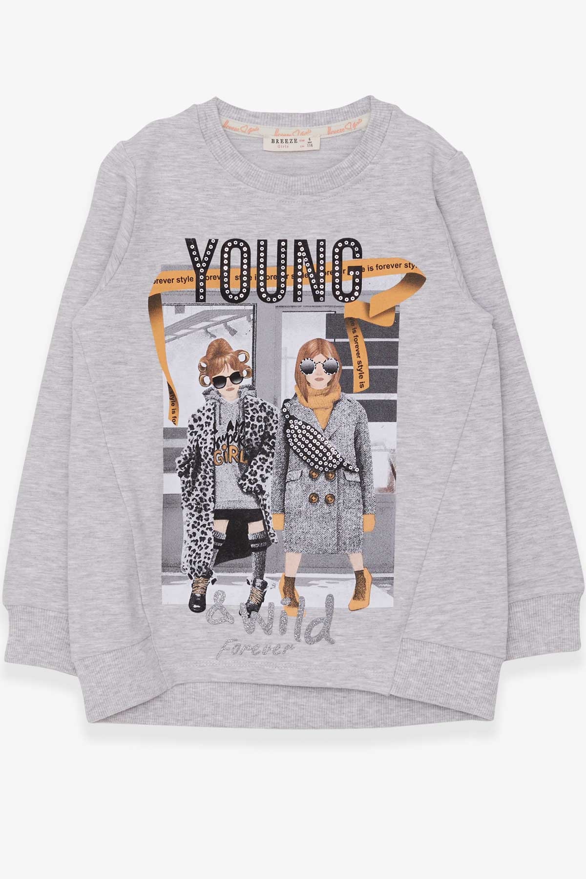 Breeze Kız Çocuk Sweatshirt Dostluk Temalı Açık Gri Melanj (6-12 Yaş)