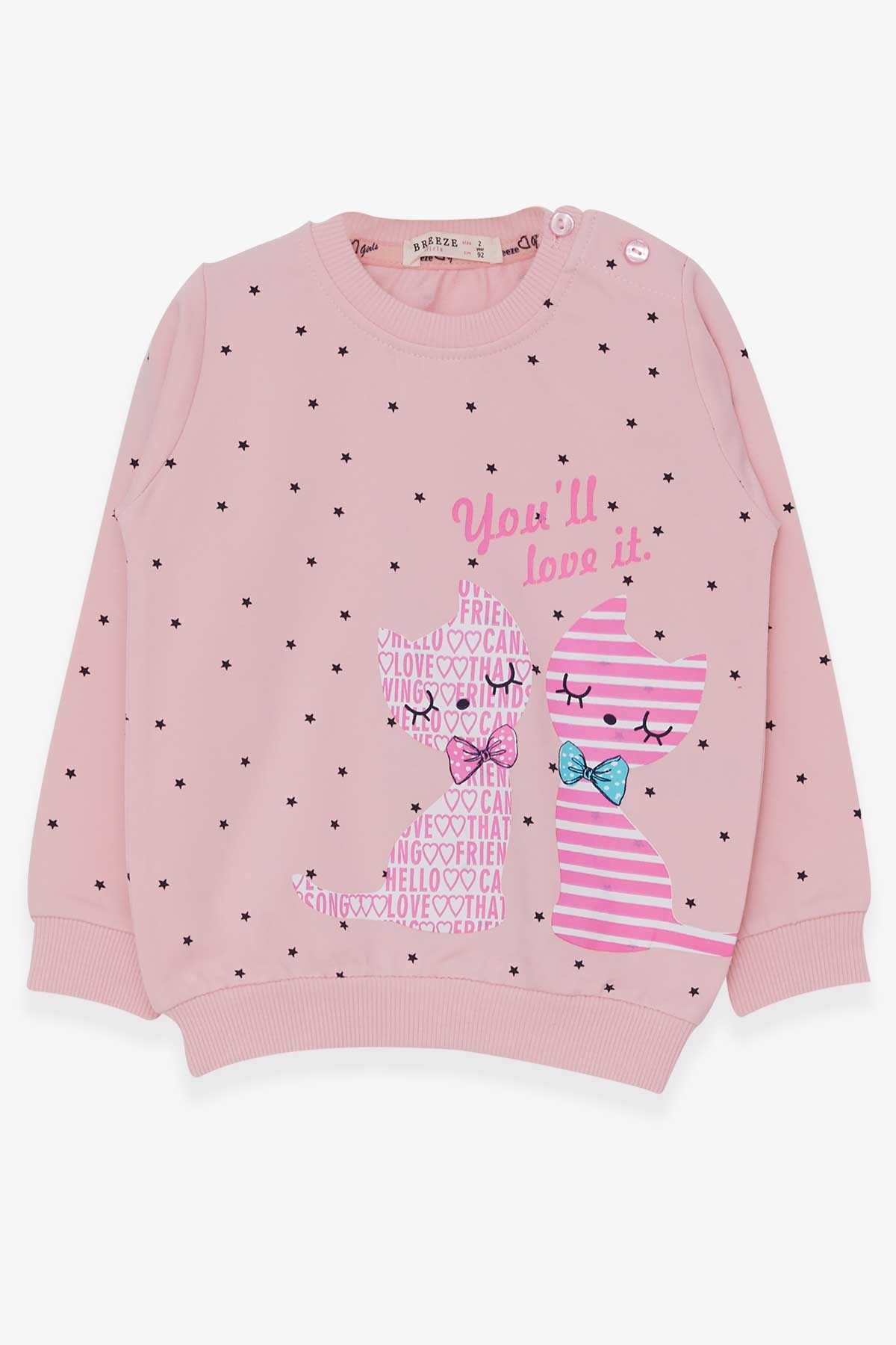 Breeze Kız Çocuk Sweatshirt Kedicik Baskılı Pudra (2-6 Yaş)