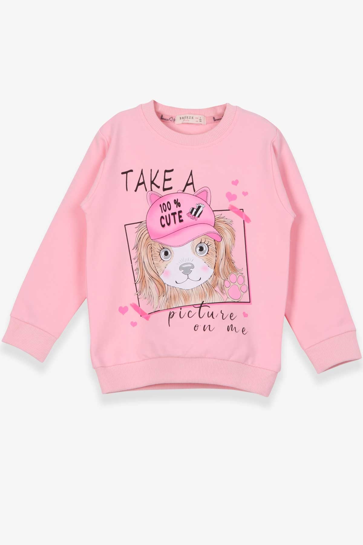 Breeze Kız Çocuk Sweatshirt Köpekcik Baskılı Pudra (3-7 Yaş)