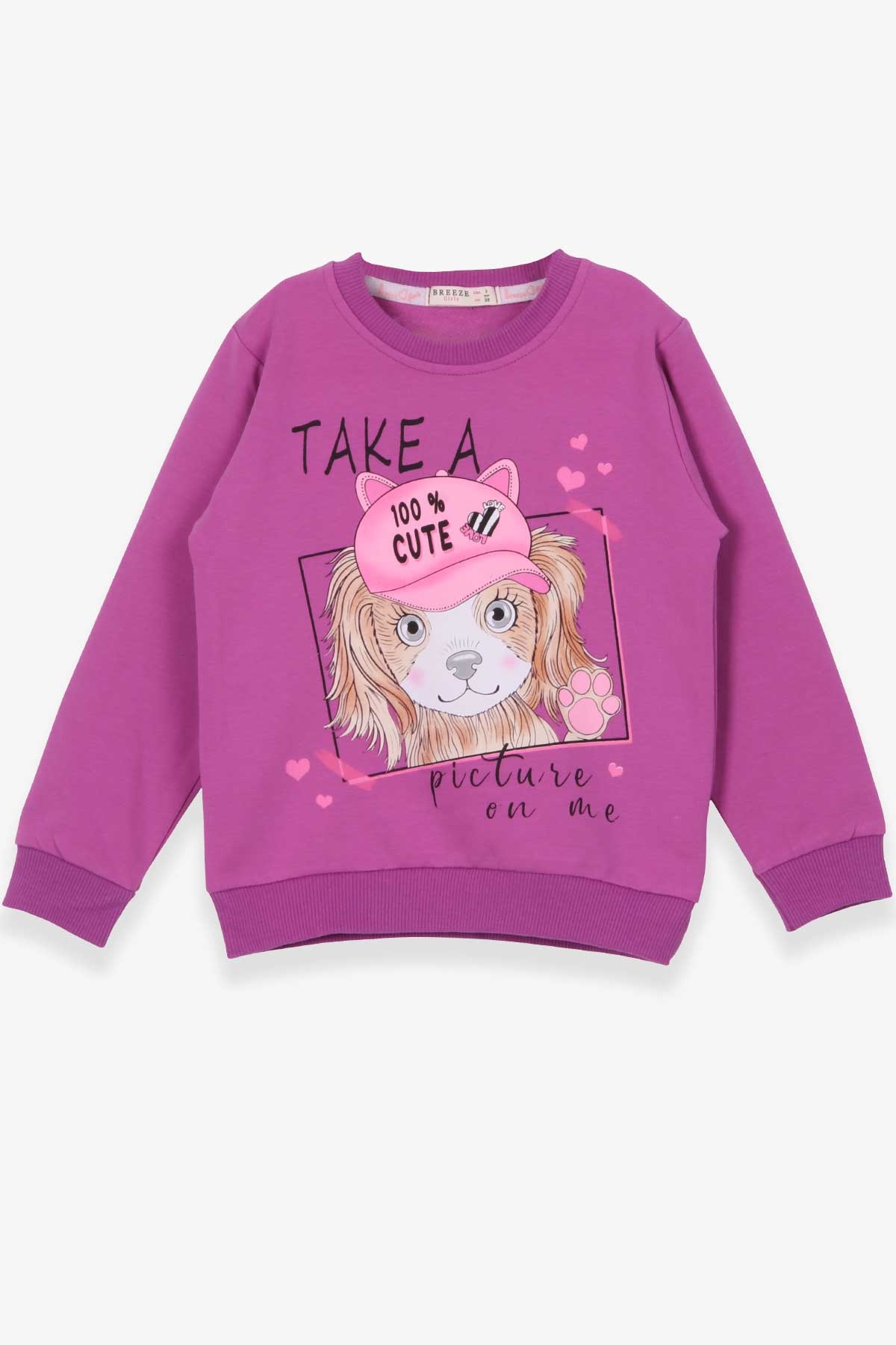 Breeze Kız Çocuk Sweatshirt Köpekcik Baskılı Mor (2-6 Yaş)