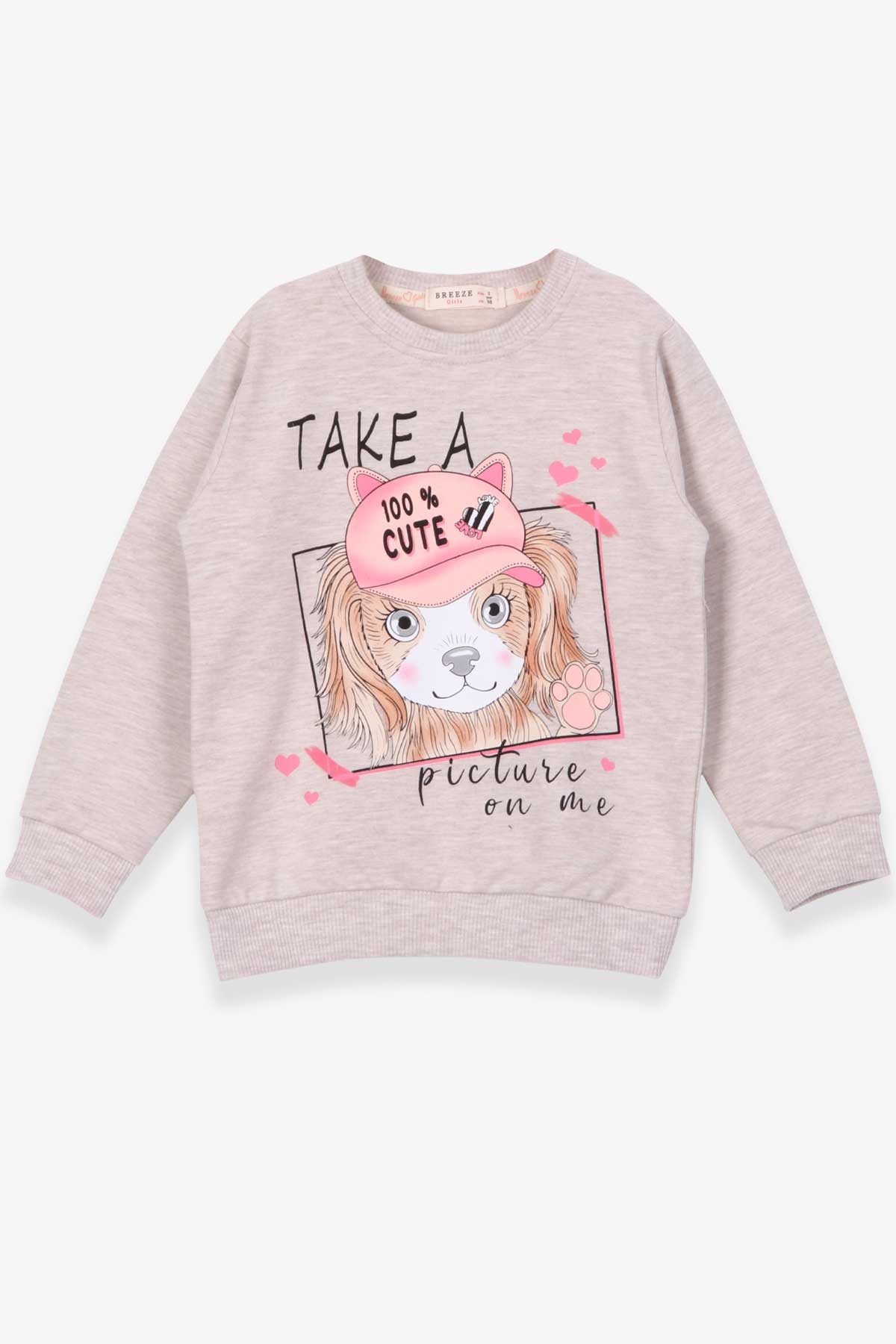 Breeze Kız Çocuk Sweatshirt Köpekcik Baskılı Bej Melanj (3-7 Yaş)
