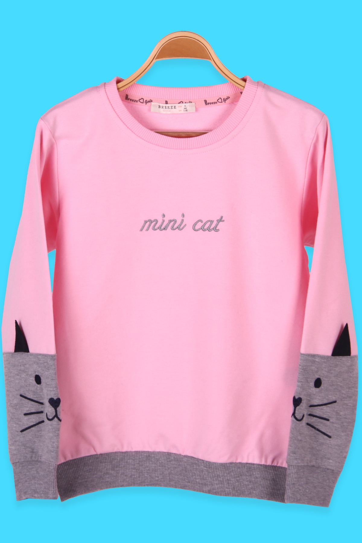Breeze Kız Çocuk Sweatshirt Ön Kolları Nakışlı Pudra (6-12 Yaş)