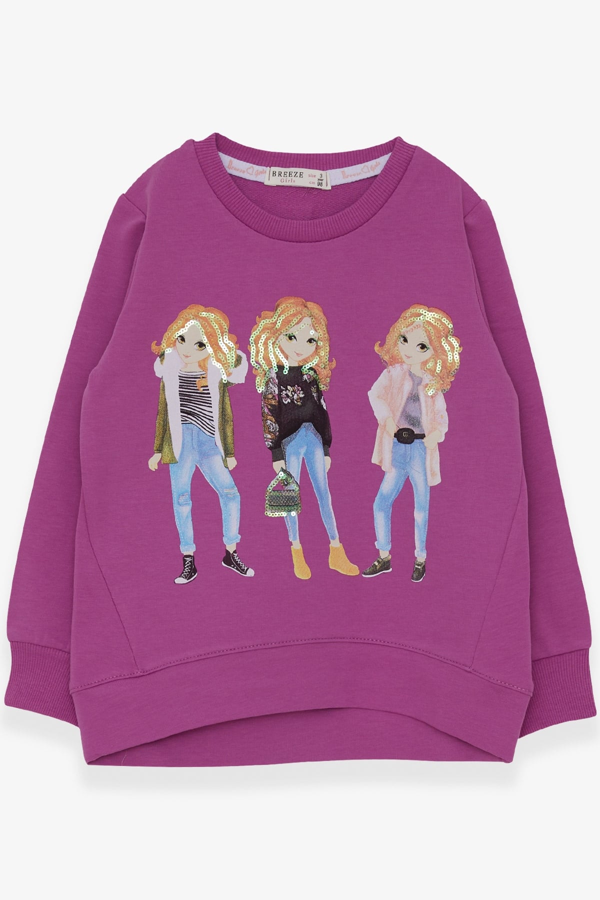 Breeze Kız Çocuk Sweatshirt Pullu Kız Baskılı Mor (3-8 Yaş)