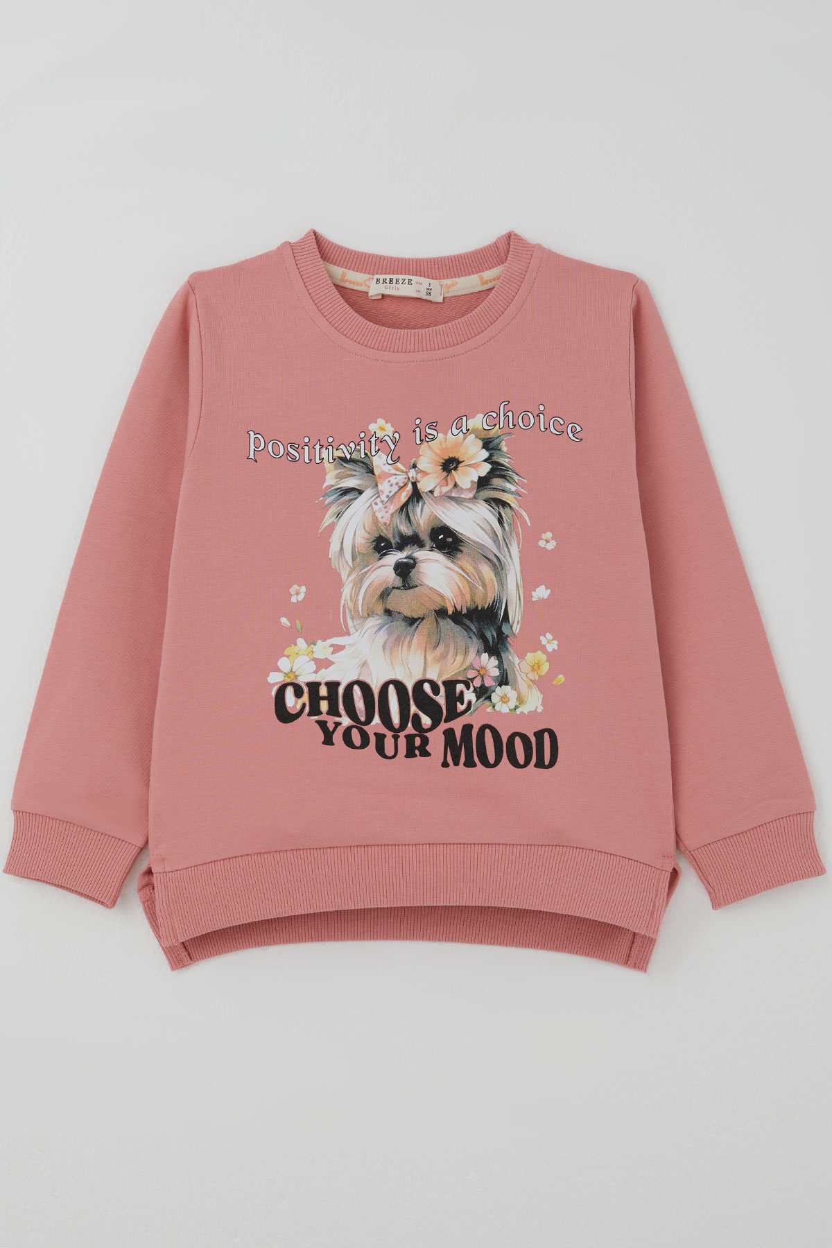 Breeze Kız Çocuk Sweatshirt Sevimli Köpekçik Baskılı Fiyonklu Yazı Baskılı Gülkurusu (3-8 Yaş)