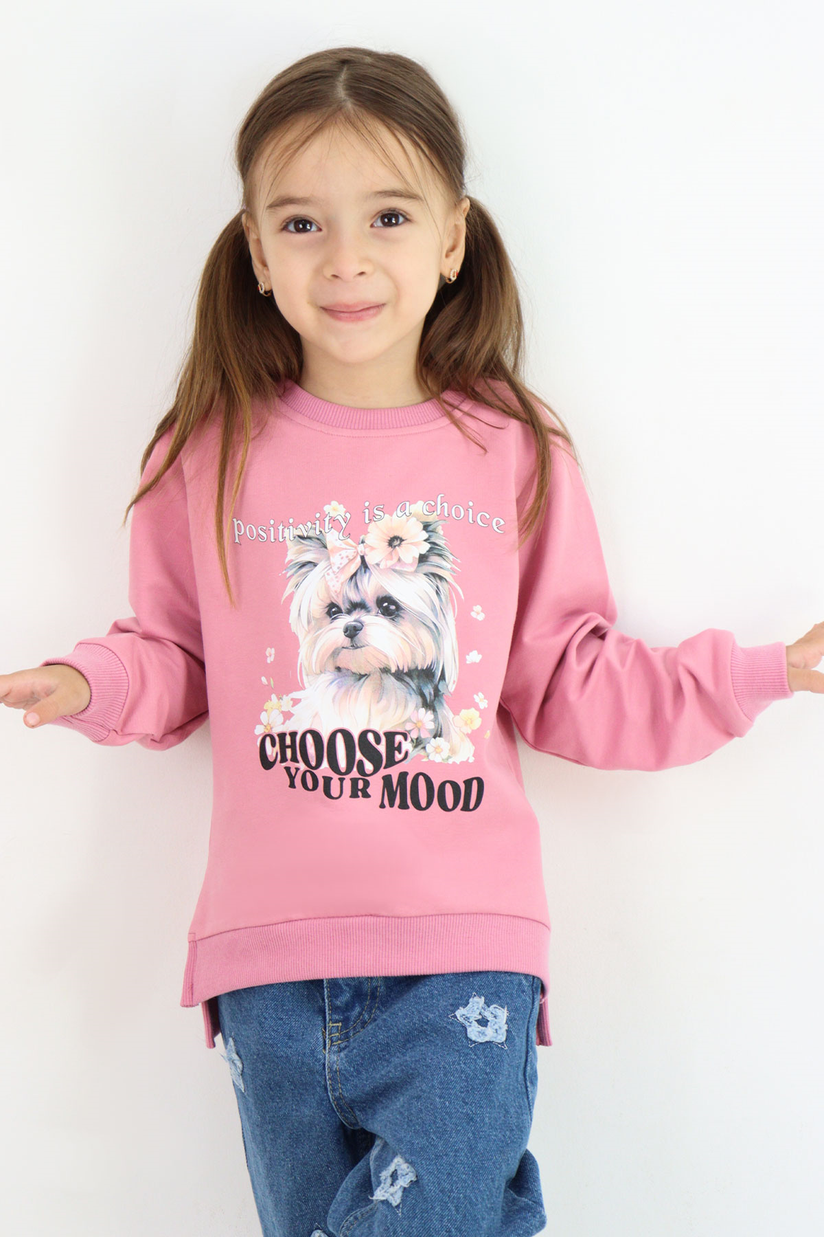 Breeze Kız Çocuk Sweatshirt Sevimli Köpekçik Baskılı Fiyonklu Yazı Baskılı Gülkurusu (3-8 Yaş)