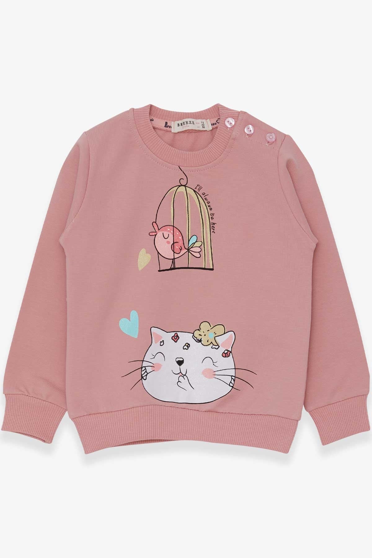 Breeze Kız Çocuk Sweatshirt Simli Kedicik Baskılı Gülkurusu (1.5-5 Yaş)