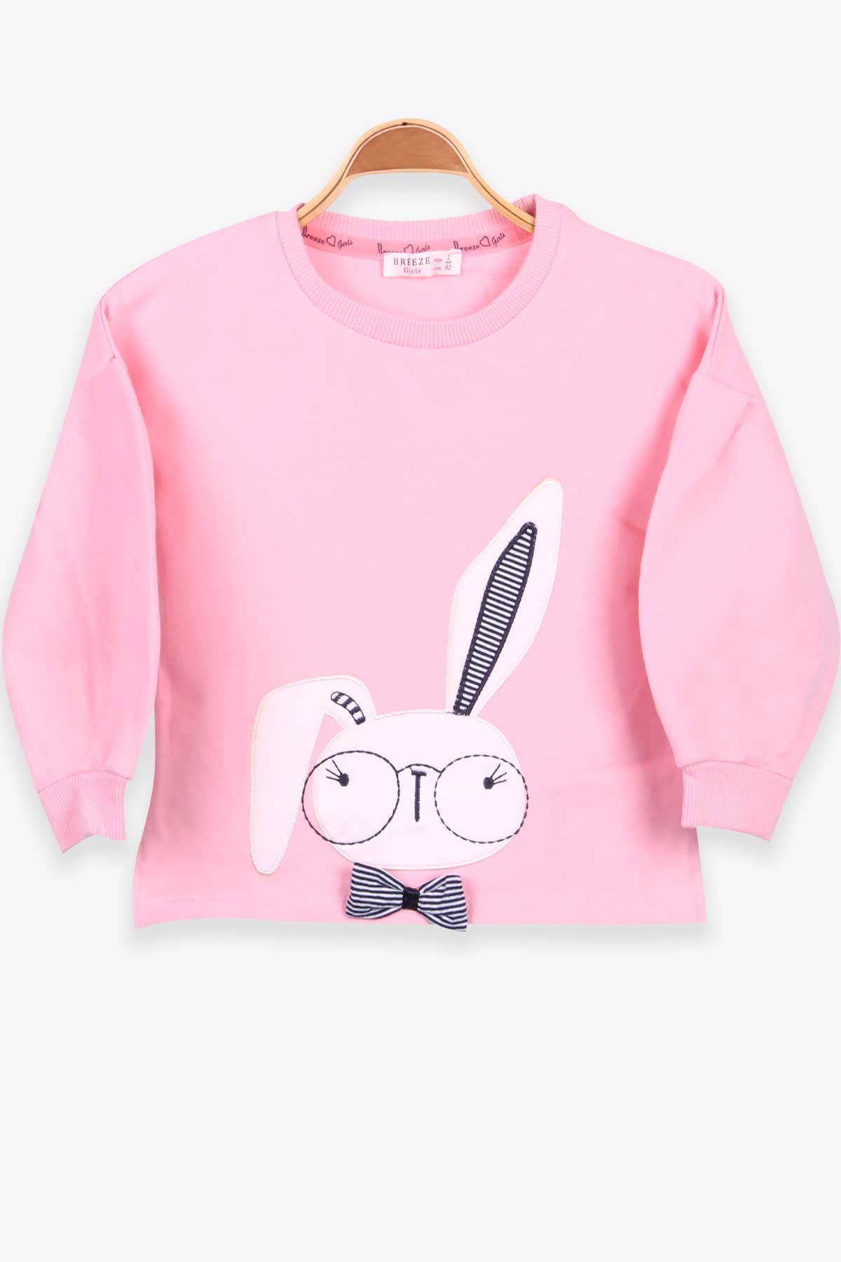 Breeze Kız Çocuk Sweatshirt Tavşan Nakışlı Pudra (2-6 Yaş)