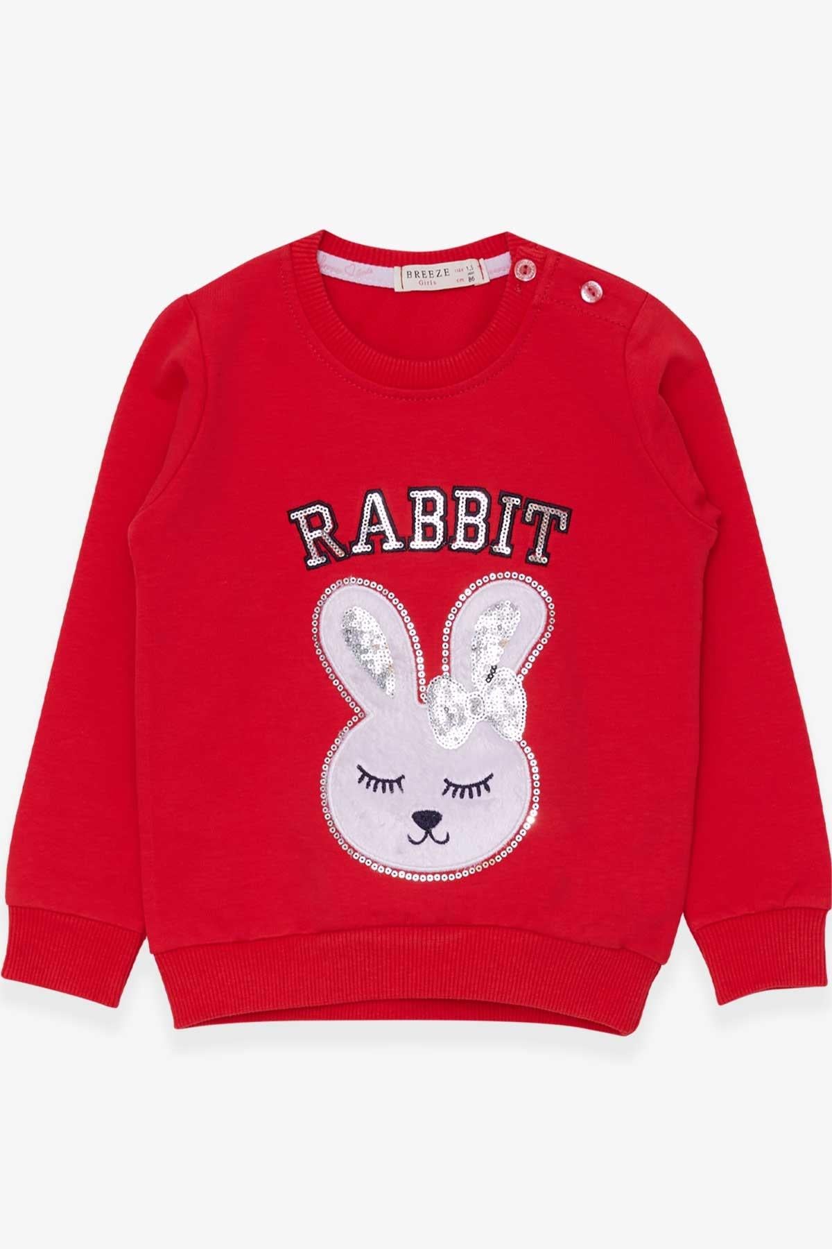 Breeze Kız Çocuk Sweatshirt Tavşancık Nakışlı Pullu Narçiçeği (1.5-5 Yaş)