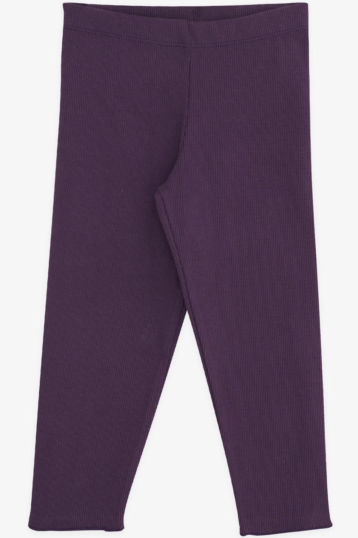 Breeze Kız Çocuk Tayt Fitilli Basic Mürdüm (3-8 Yaş)