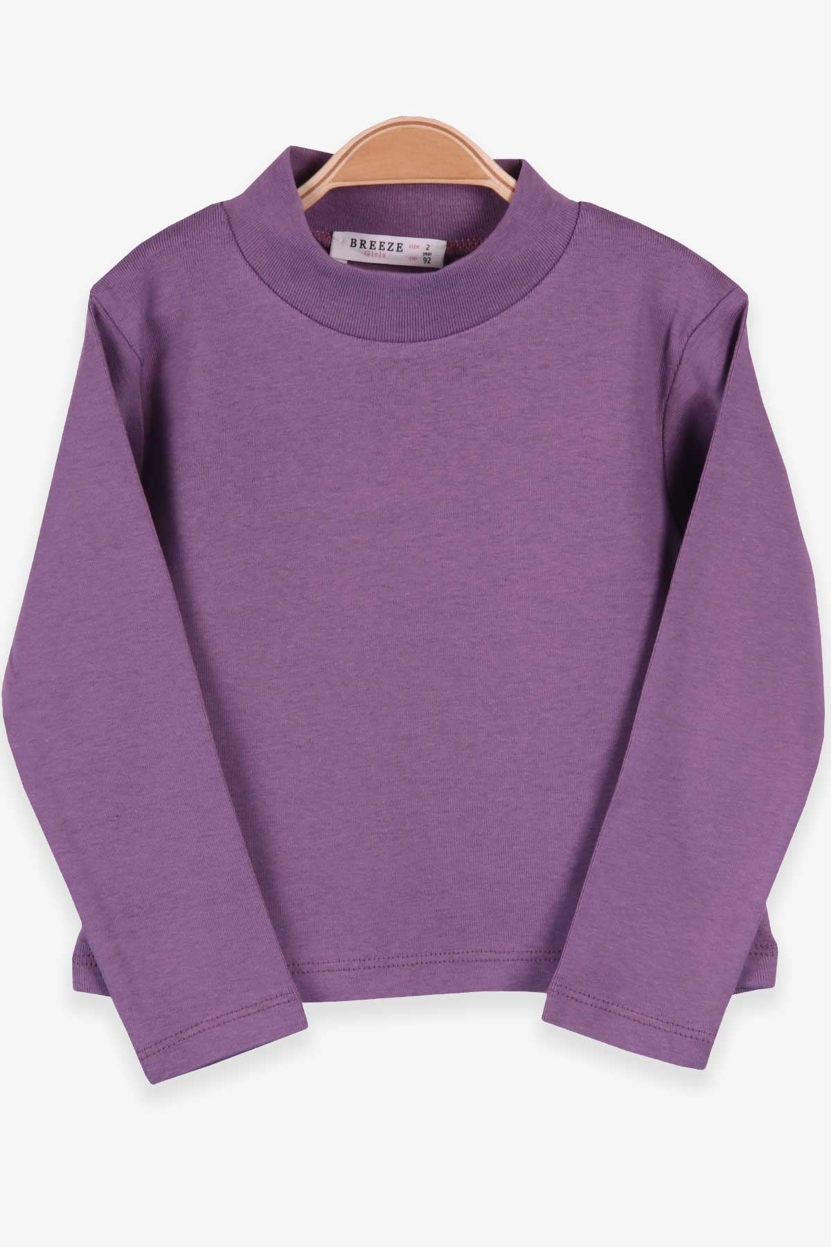 Breeze Kız Çocuk Uzun Kollu Tişört Basic Lila (2-10 Yaş)
