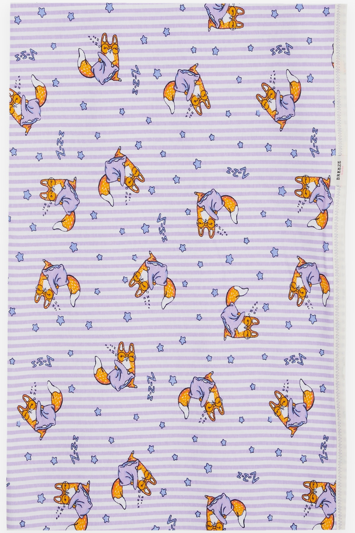 Breeze Yenidoğan Bebek Battaniyesi Uykucu Sincap Desenli Lila