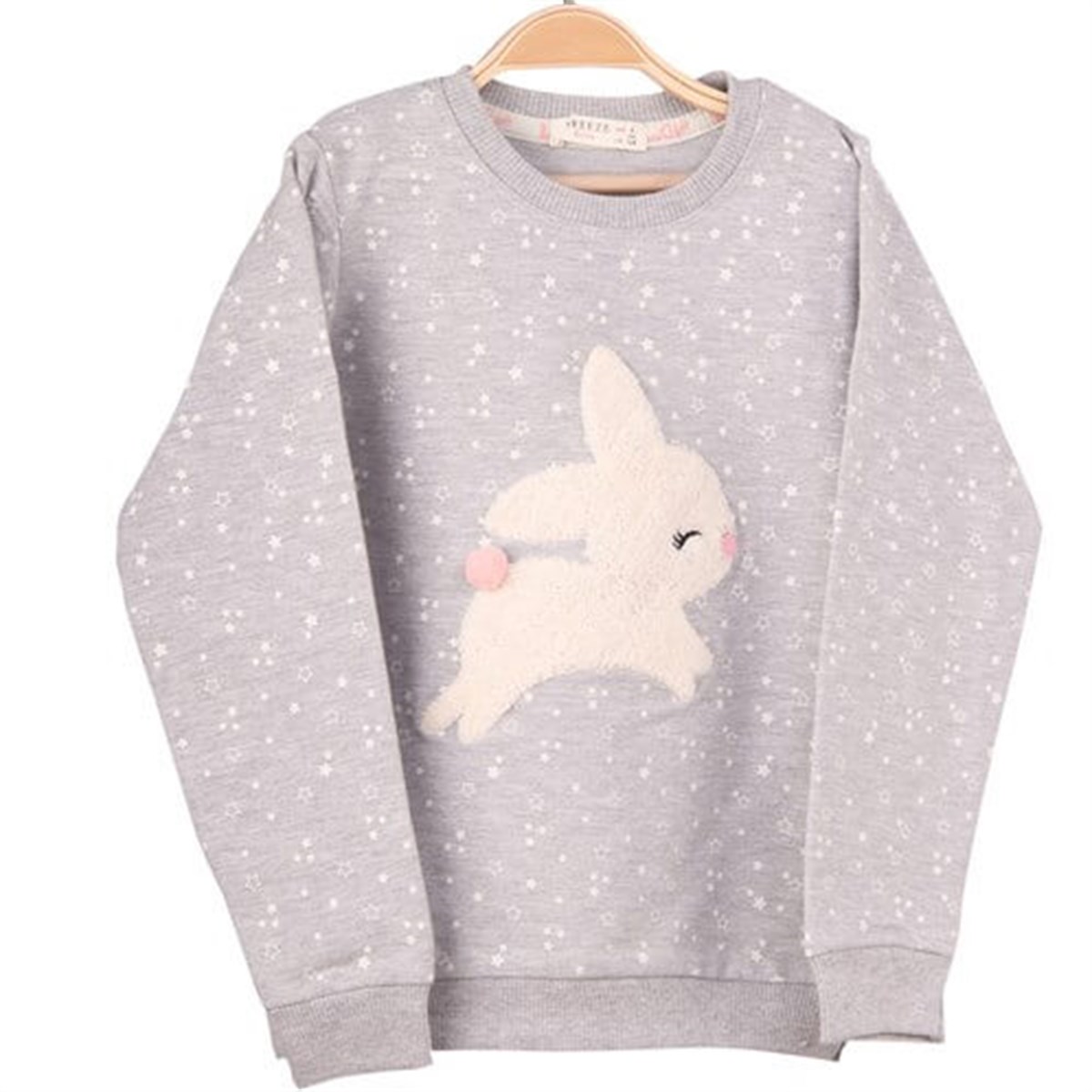Sweatshirt & KazakBREEZE10392-51Tavşanlı Sweatshirt