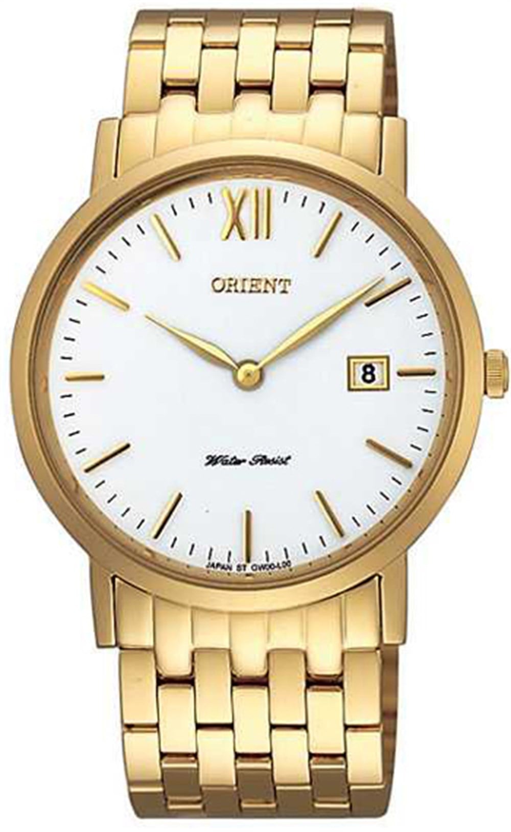 Orient FGW00001W0 Erkek Kol Saati