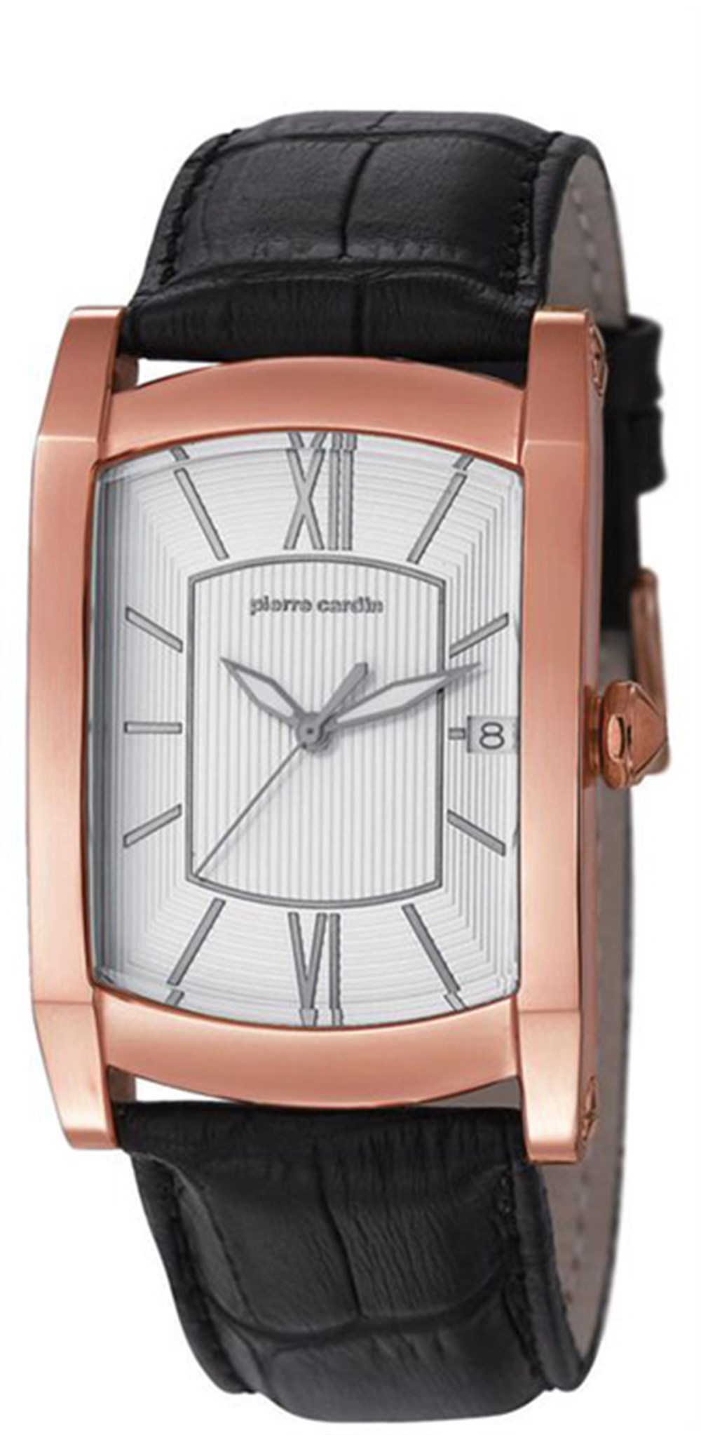 Pierre Cardin PC105391F08 Erkek Kol Saati