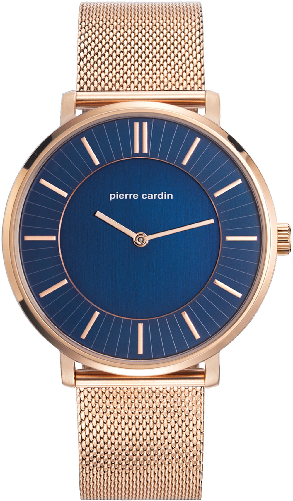 Pierre Cardin PC107871F06 Erkek Kol Saati 