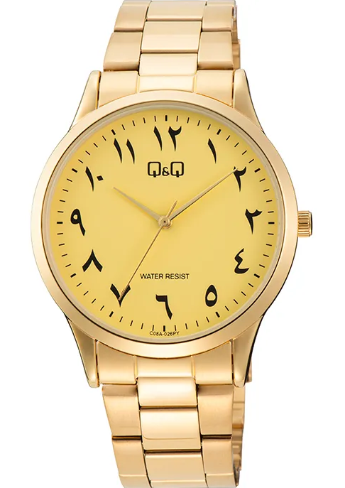 Q&QC08A-026PYQ&Q C08A-026PY Erkek Kol Saati