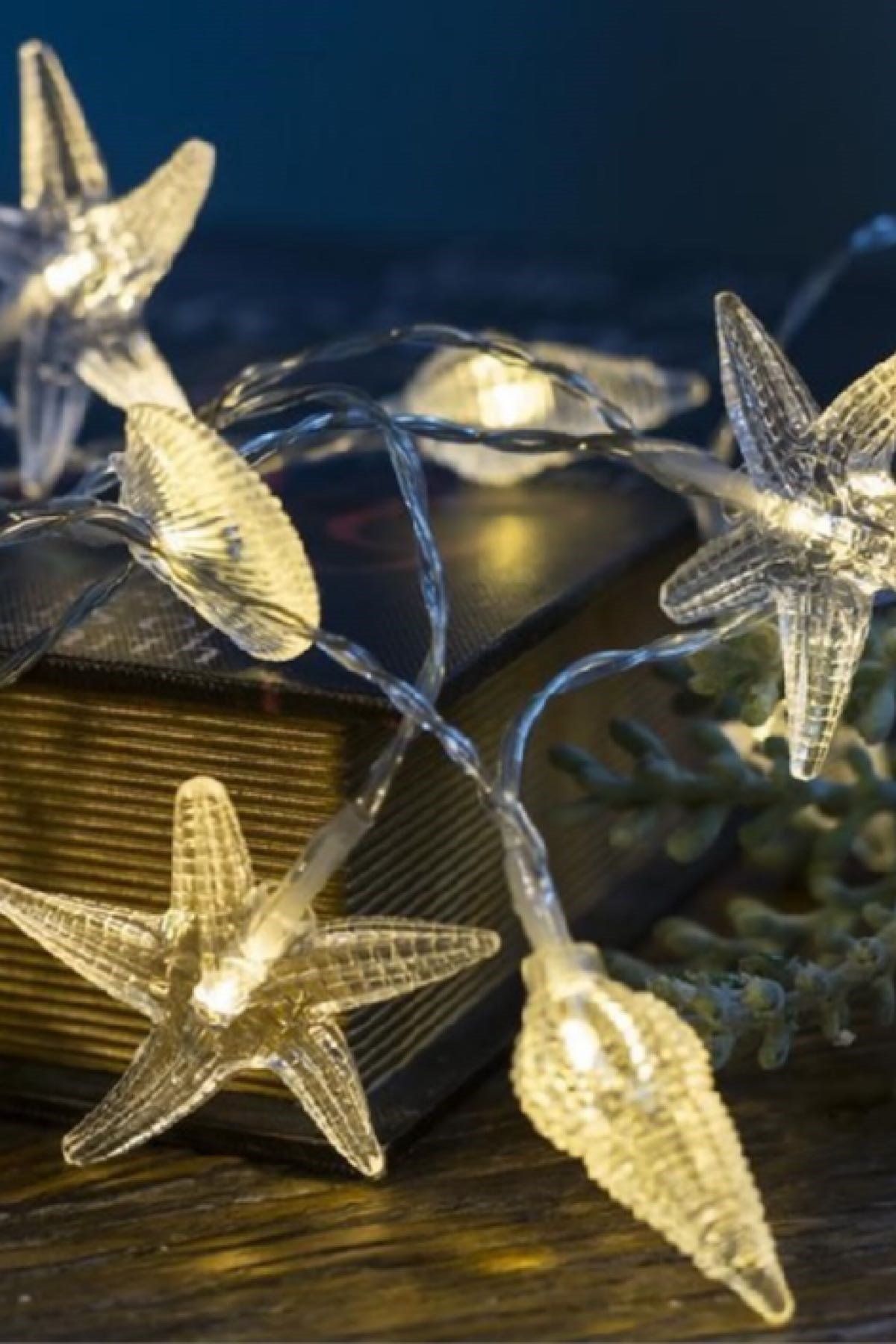 Deniz Kabukları Led Işık