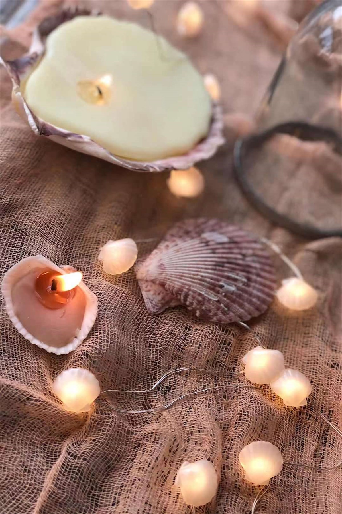 Deniz Tarağı Led Işık Zinciri